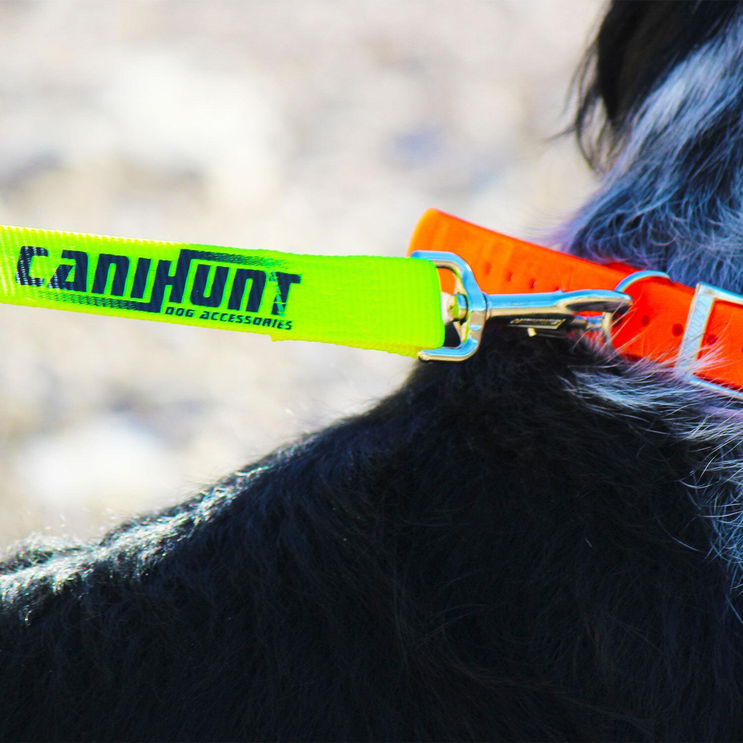 product/c/a/canihunt_c20p02_jaune_3.jpg