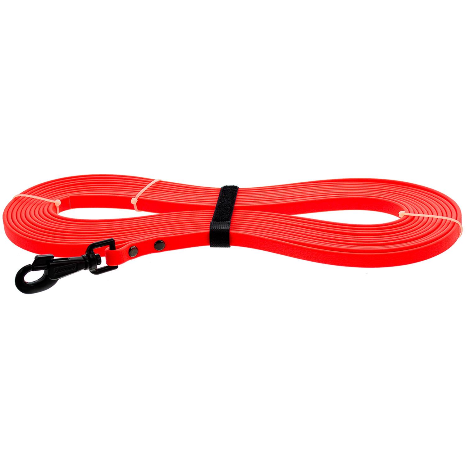 product/c/a/canihunt_c37p10_orange_1.jpg