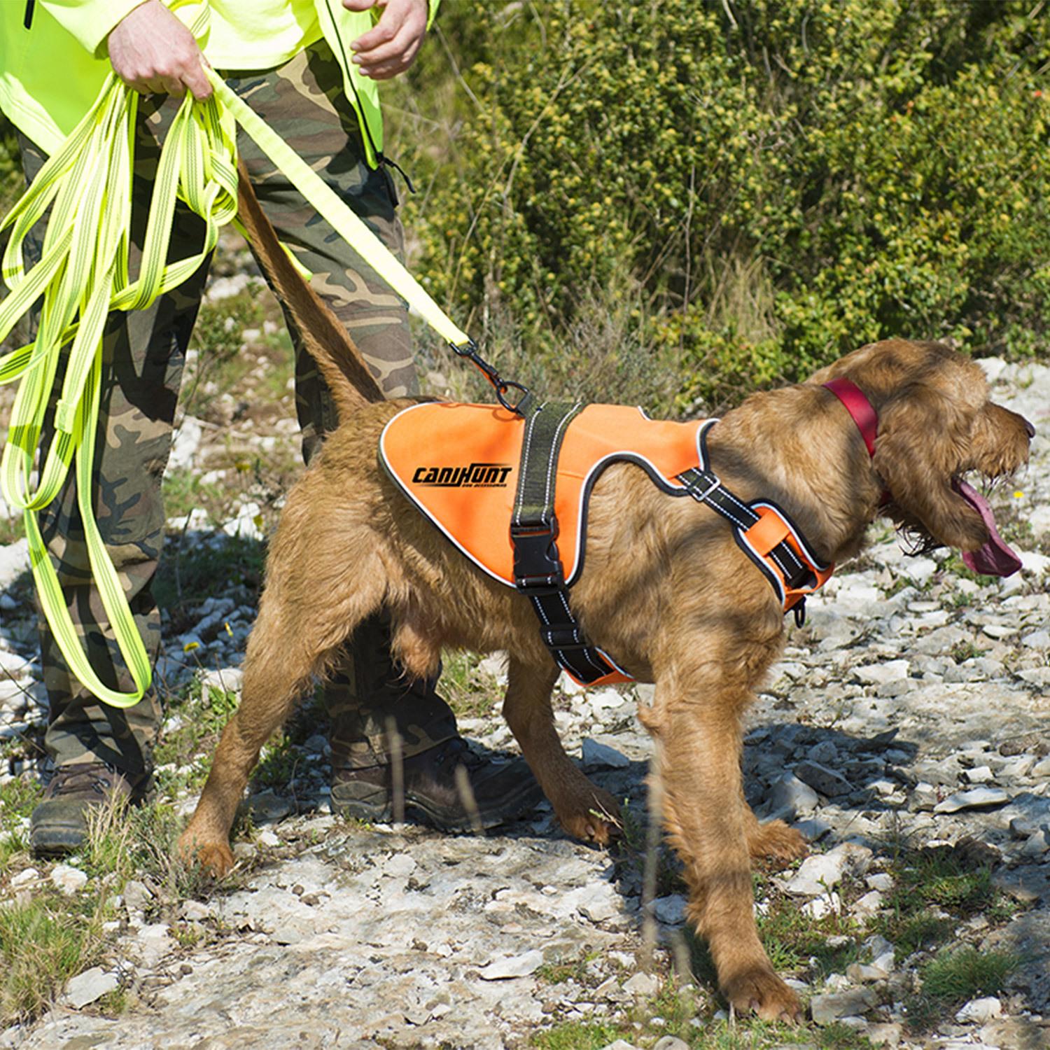 product/c/a/canihunt_csignall_orange_2.jpg