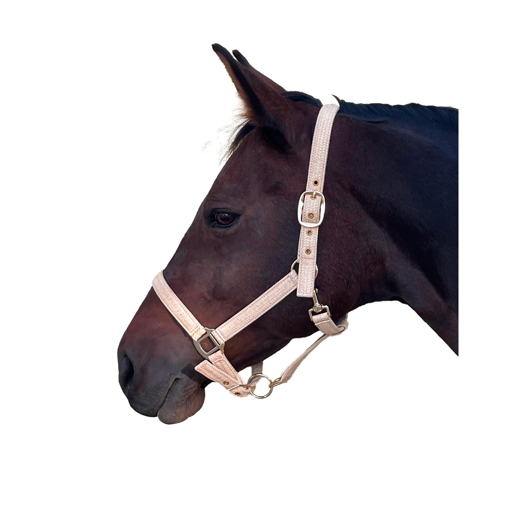 product/c/a/canter_109508-beige_beige_1.jpg