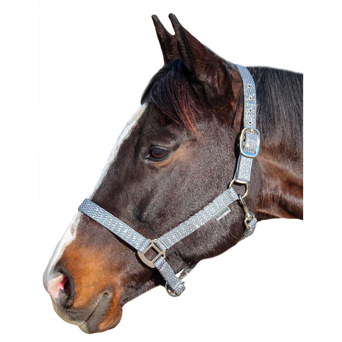 product/c/a/canter_109508-gris_gris_1.jpg