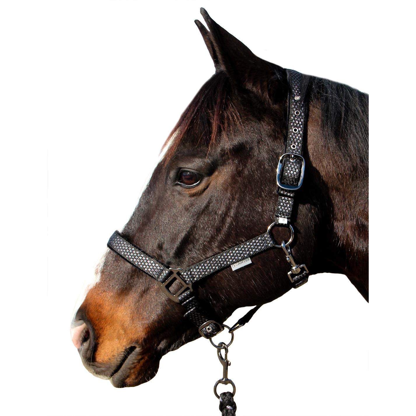 product/c/a/canter_109509-noir_noir_1.jpg