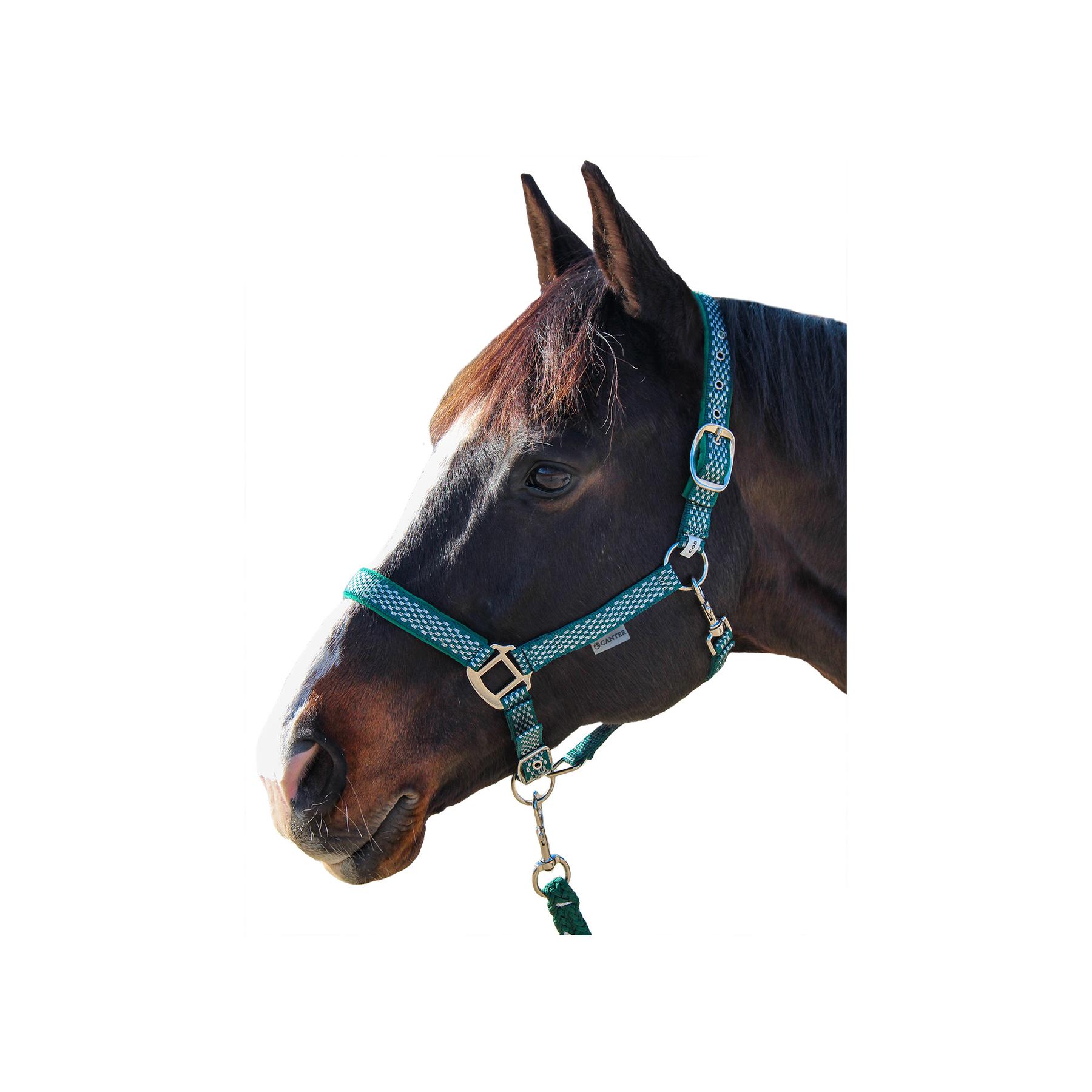 product/c/a/canter_109509-vert_vert_1.jpg