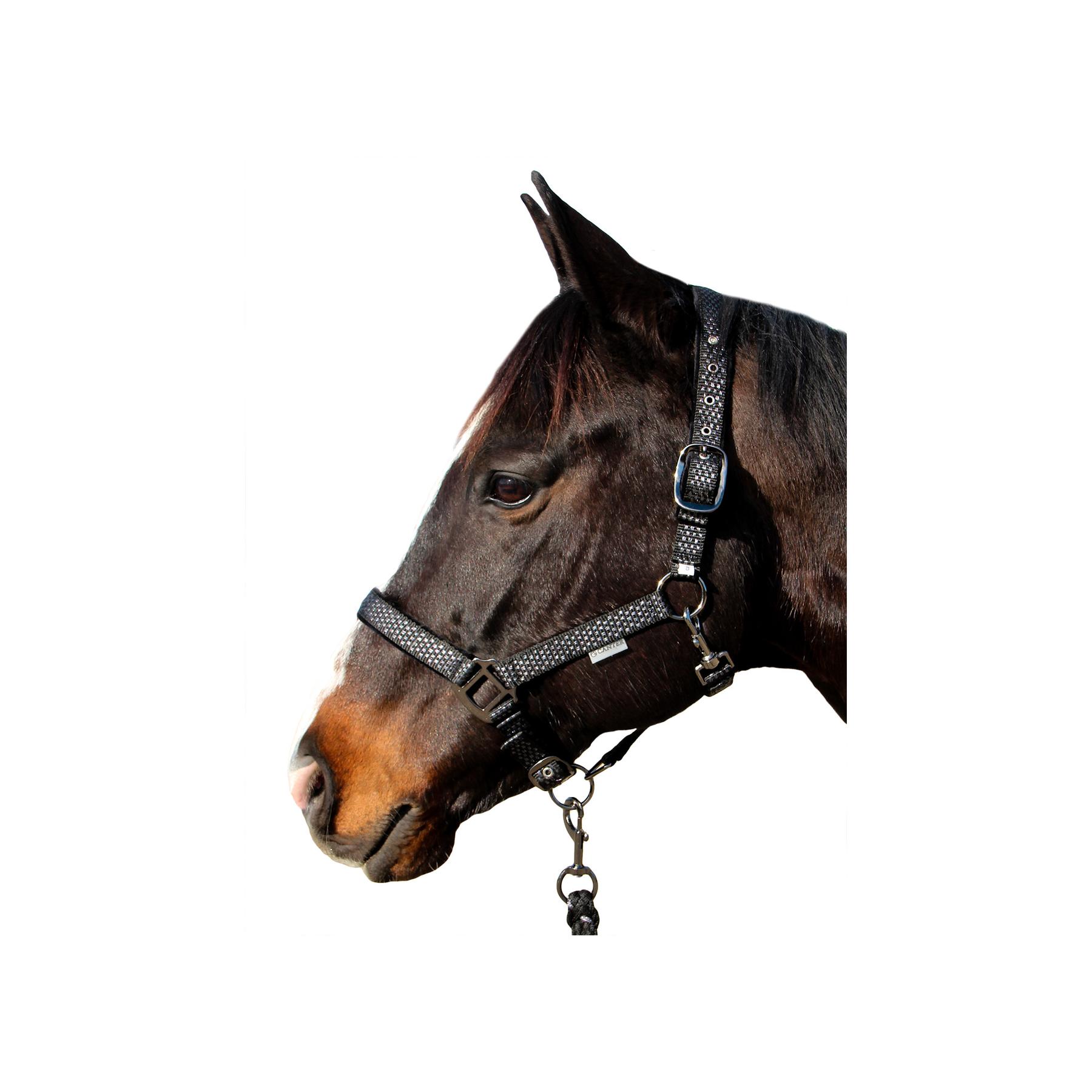 product/c/a/canter_109509-vert_vert_3.jpg