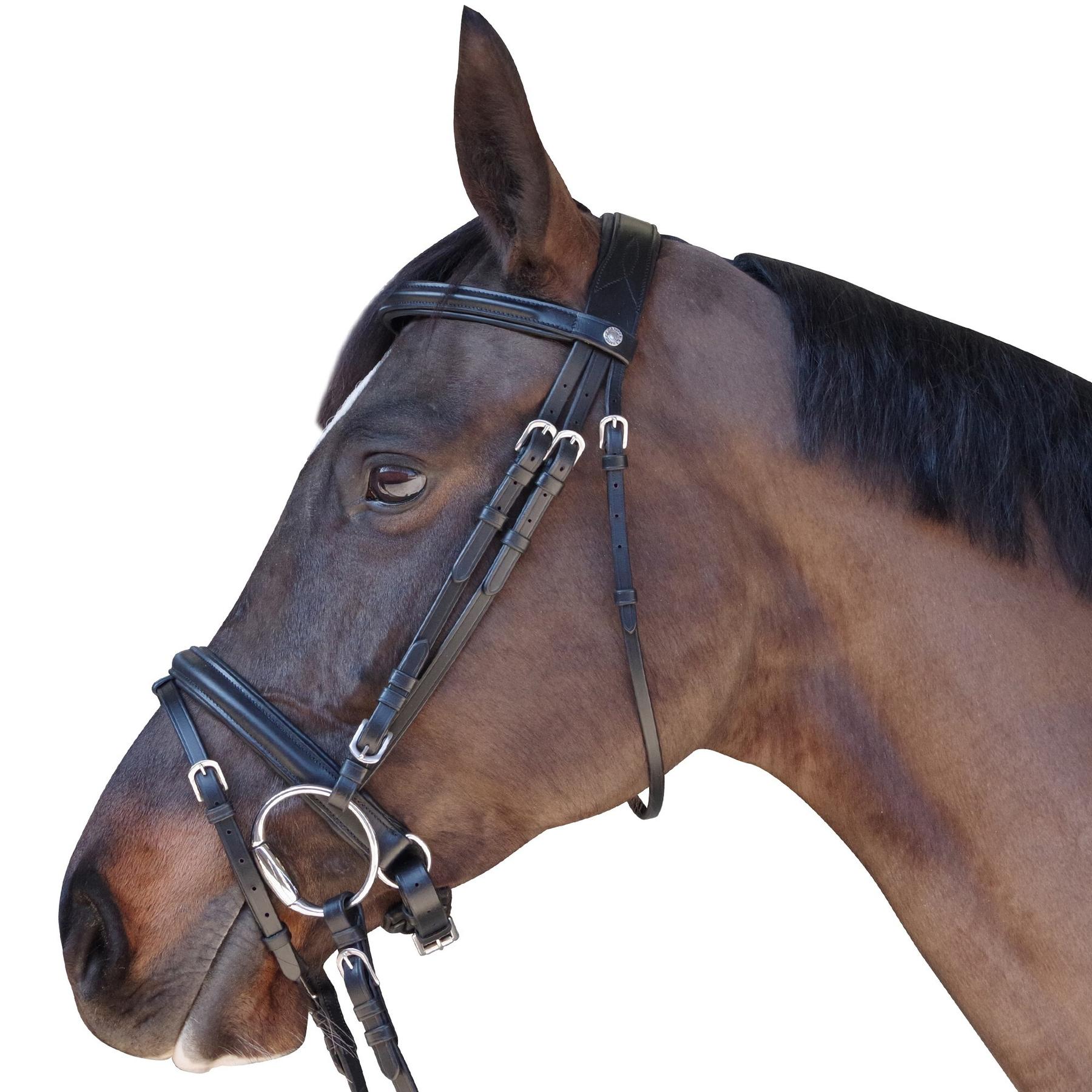 product/c/a/canter_111105-marron_1.jpg