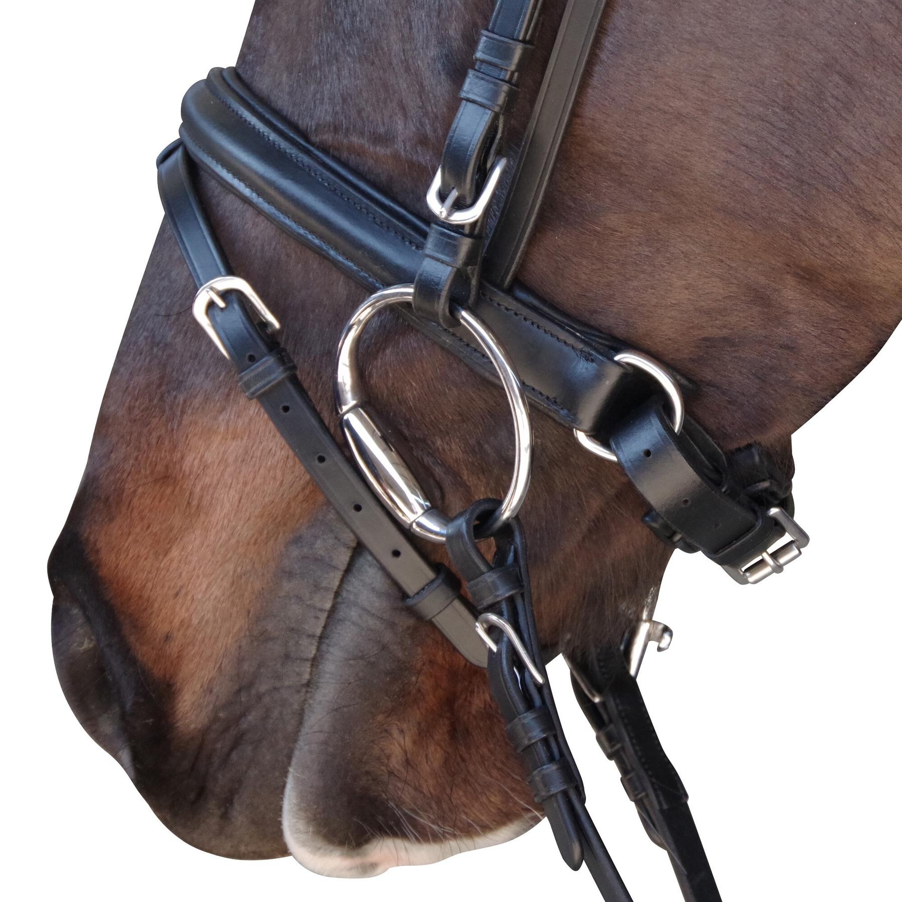 product/c/a/canter_111105-marron_3.jpg