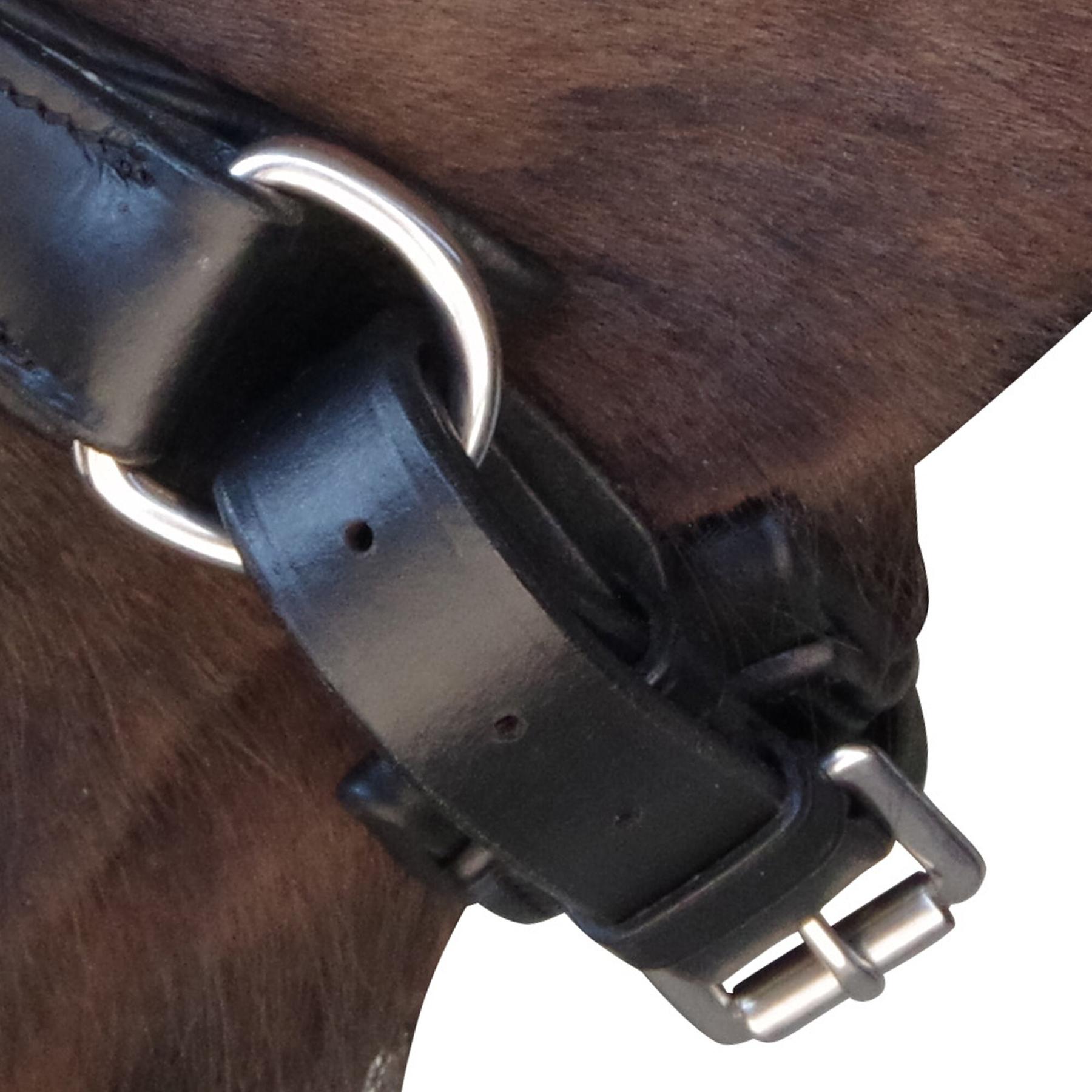 product/c/a/canter_111105-marron_4.jpg