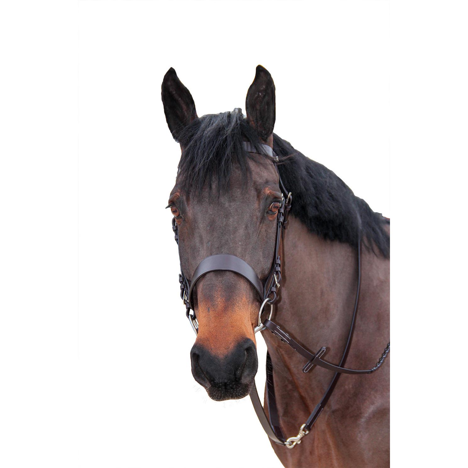 product/c/a/canter_112209-marron_marron_1.jpg