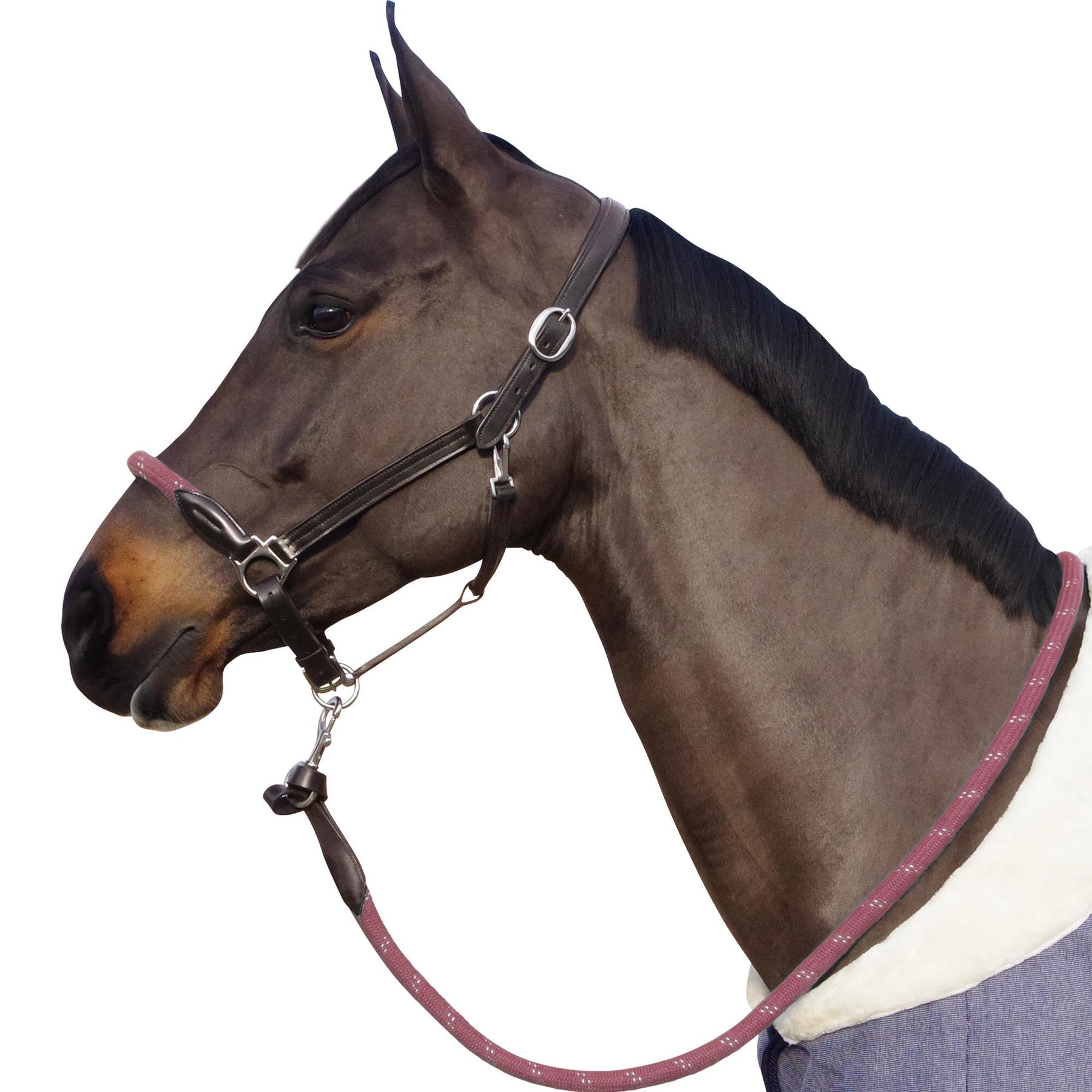 product/c/a/canter_119522-marron-vieux_rose.jpg