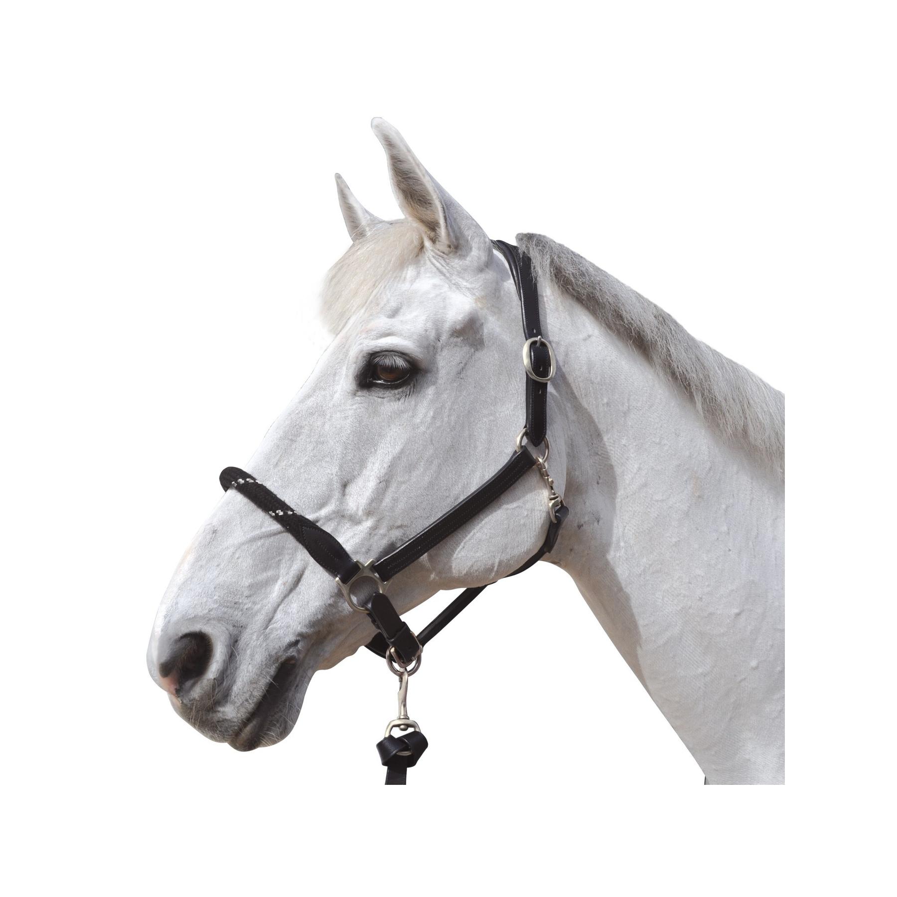 product/c/a/canter_119522-noir-argent.jpg