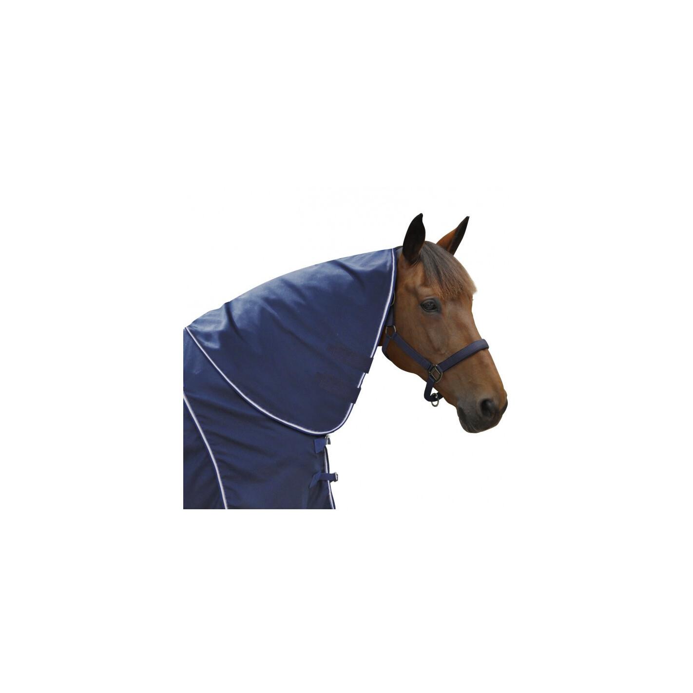 product/c/a/canter_232002-marine_mag4570866_1.jpg