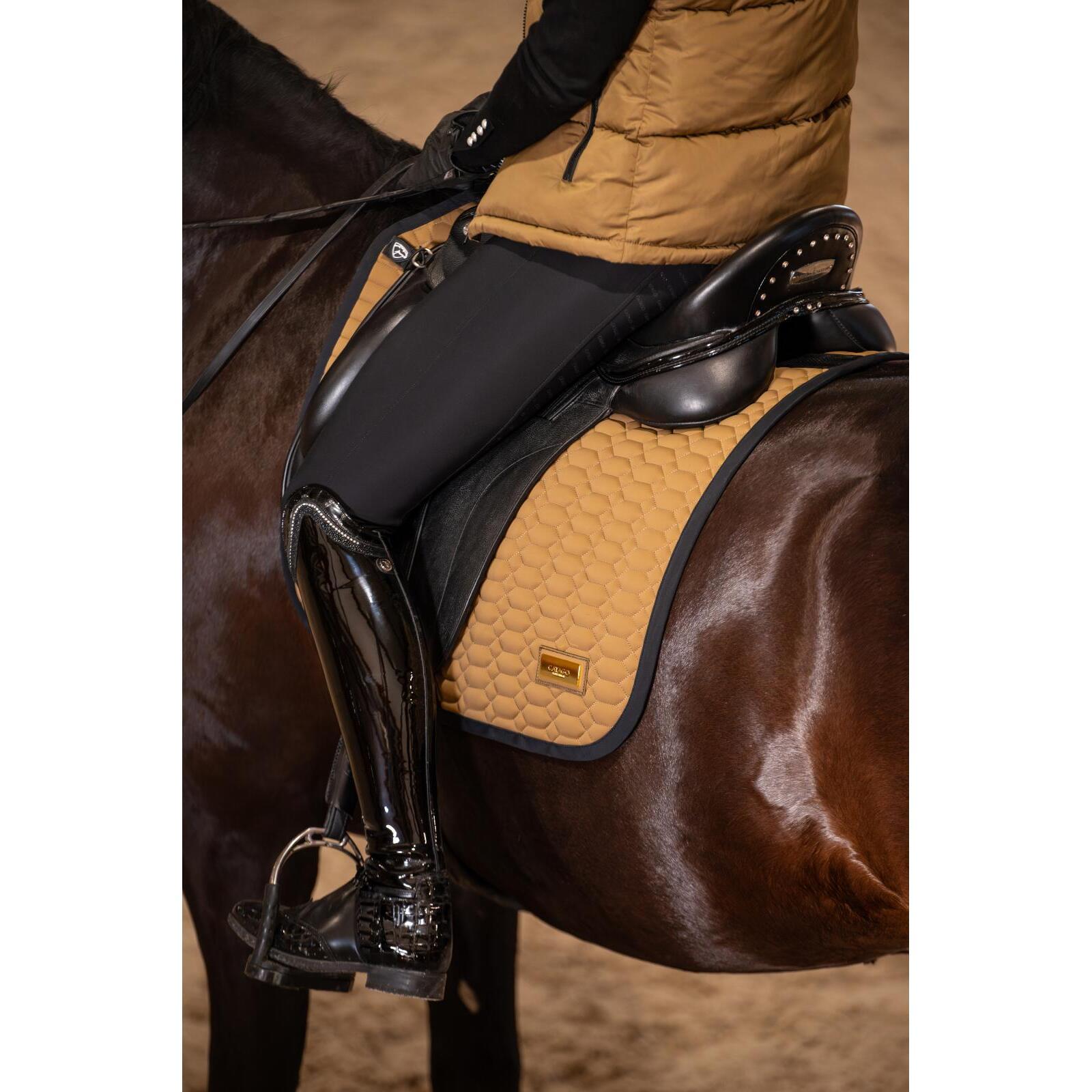 product/c/a/catago_300003201_black_7.jpg