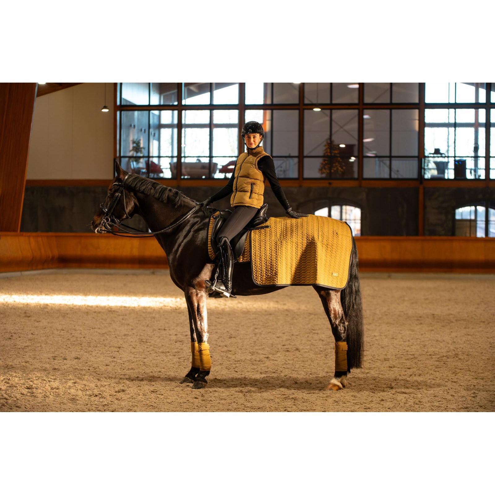 product/c/a/catago_30026001809_kangaroo_2.jpg