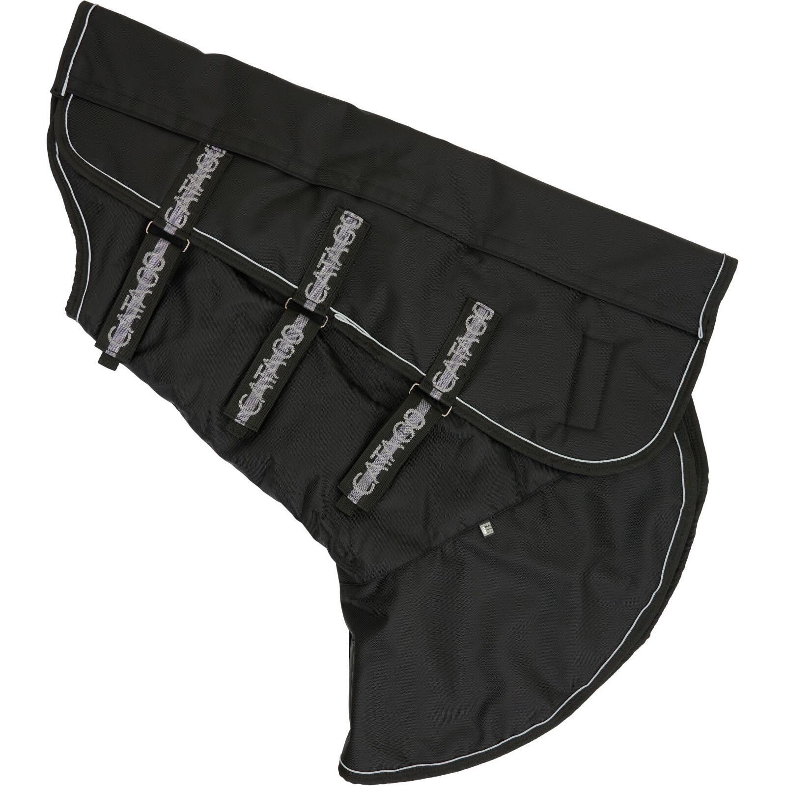 product/c/a/catago_300471501_black_1.jpg
