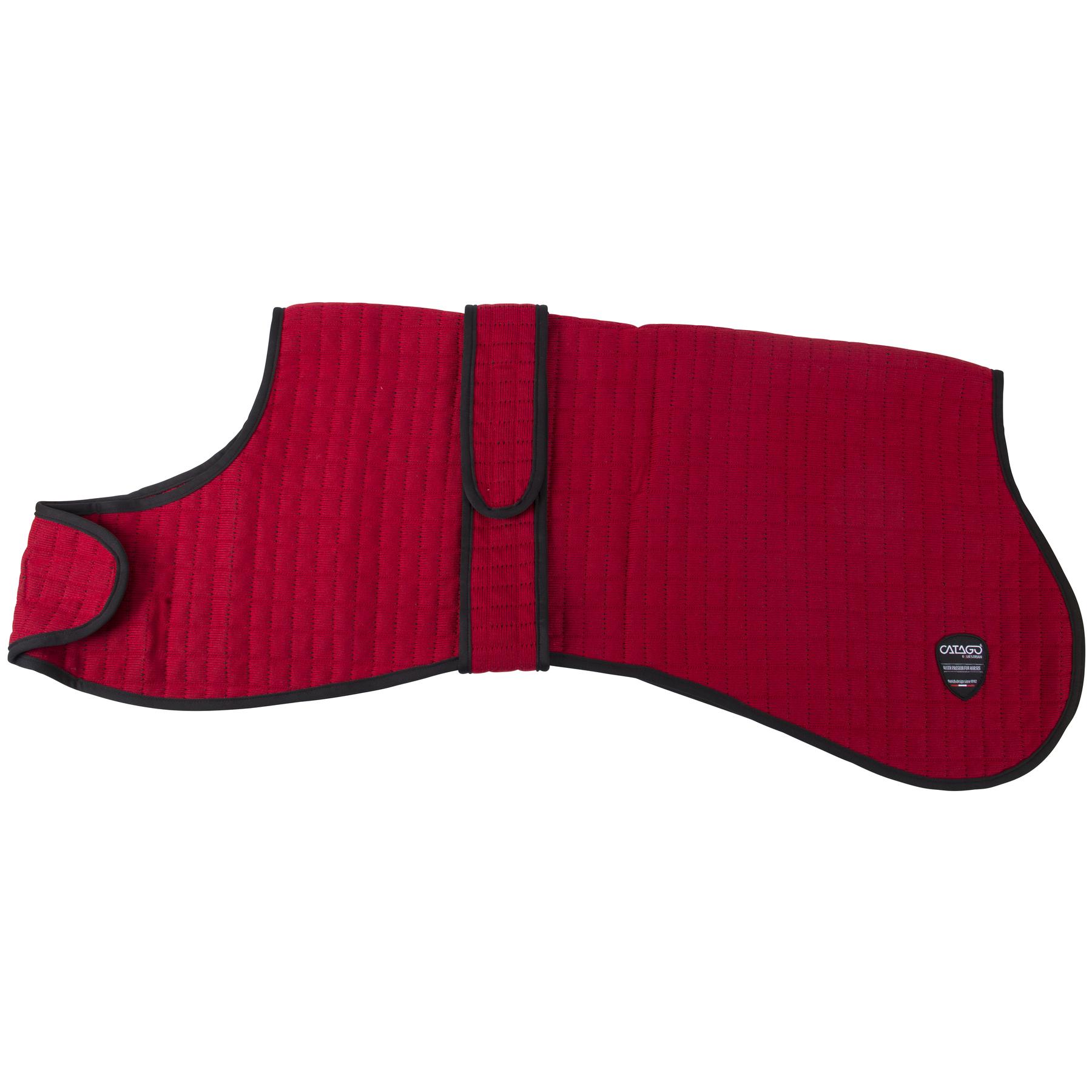 product/c/a/catago_49024504_1.jpg