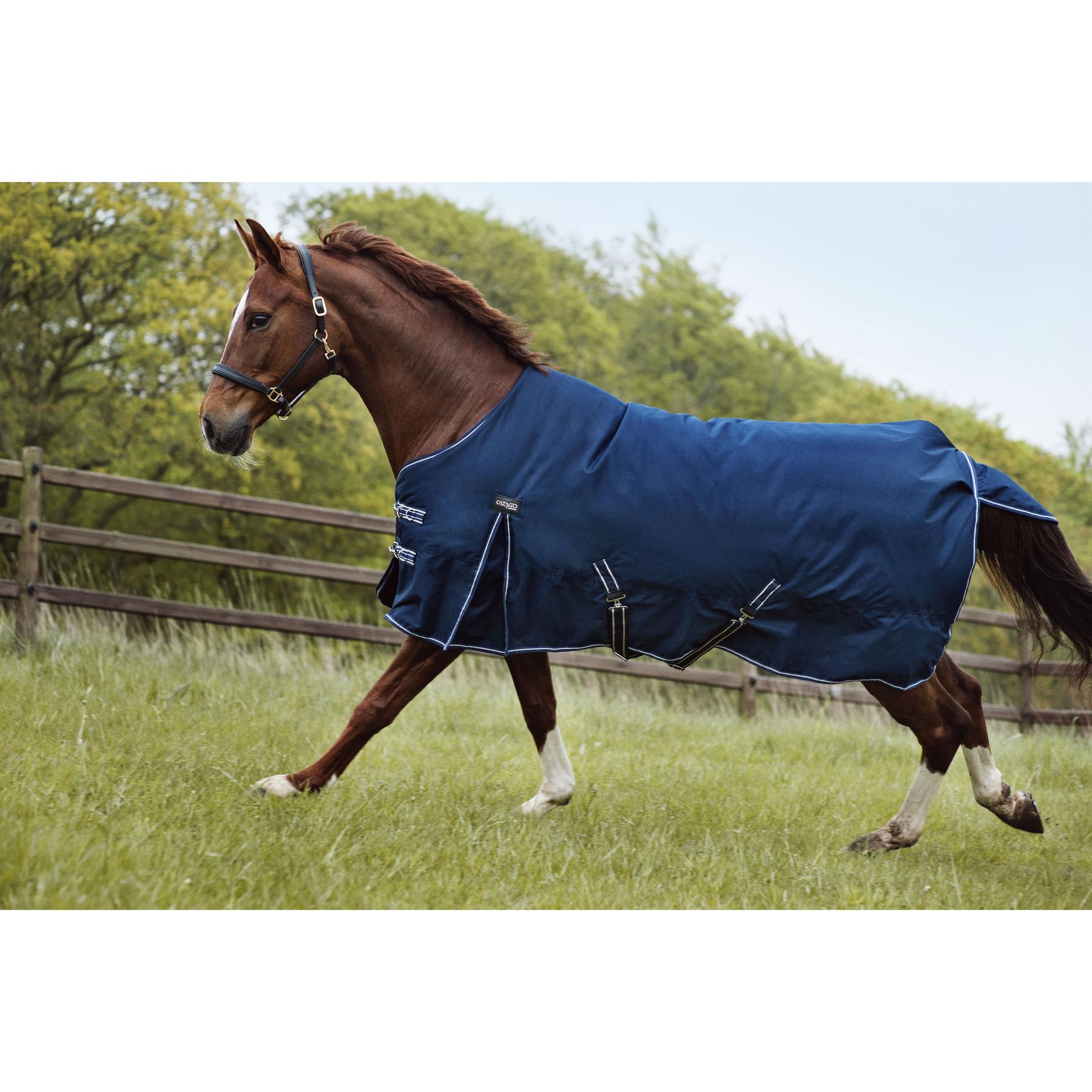 product/c/a/catago_49371514_2.jpg