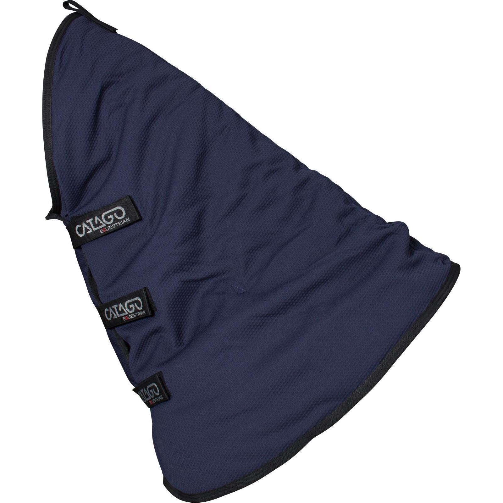product/c/a/catago_49892014_blue_1.jpg