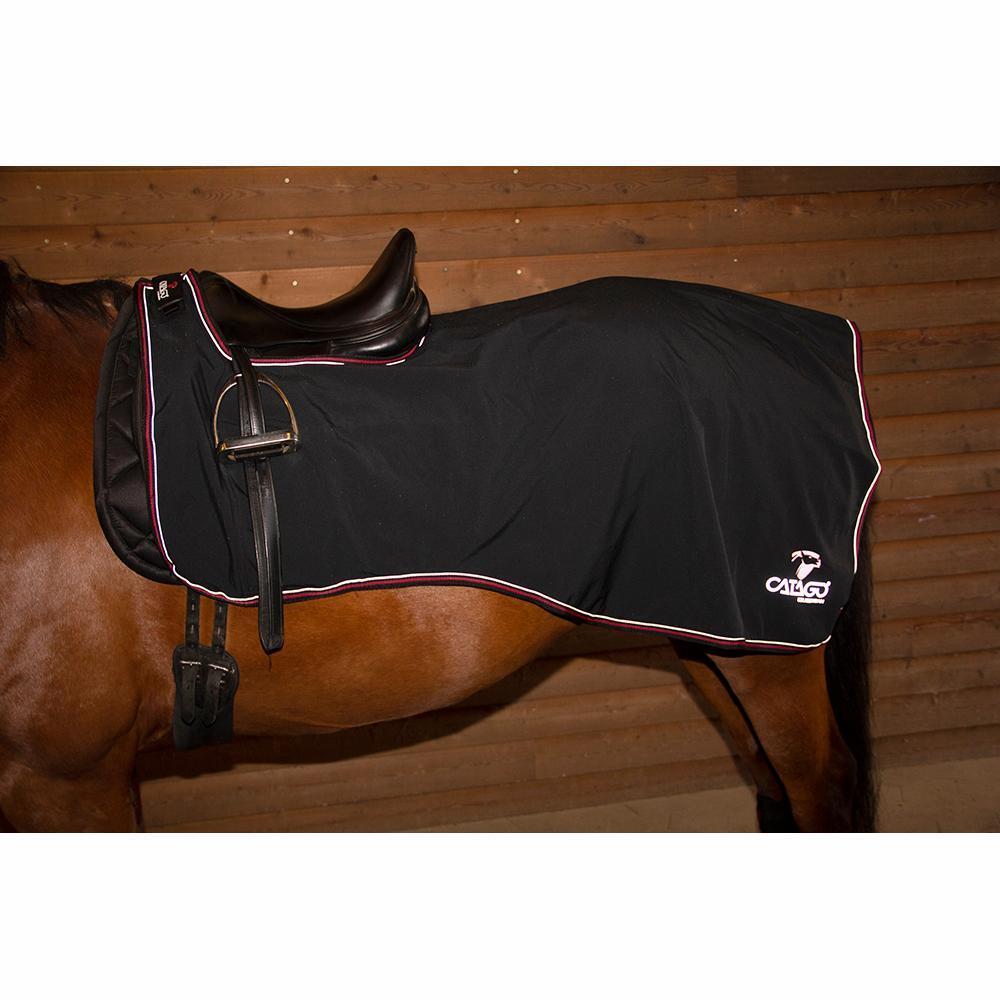 product/c/a/catago_49962001_black_2.jpg