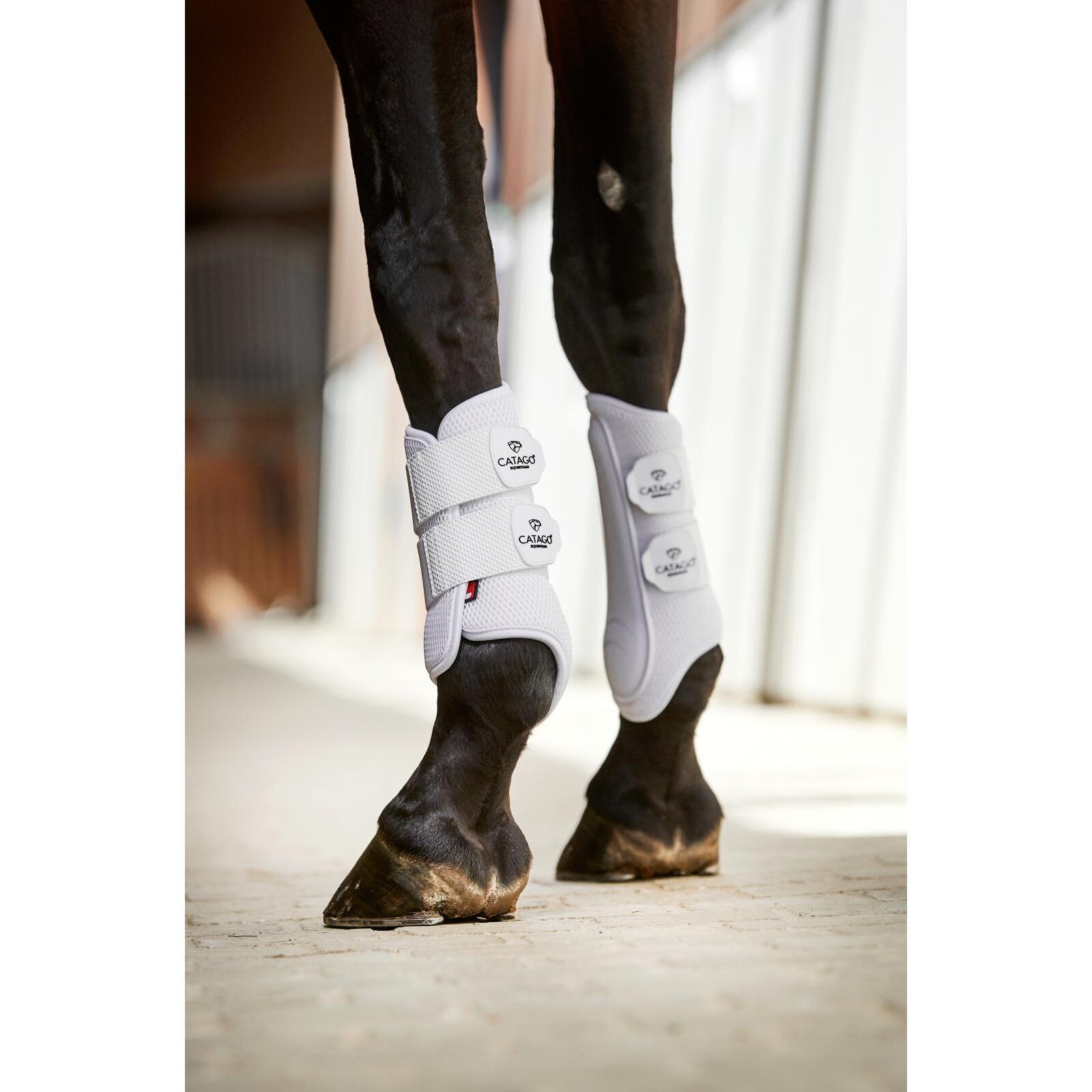 product/c/a/catago_50032008_white_2.jpg