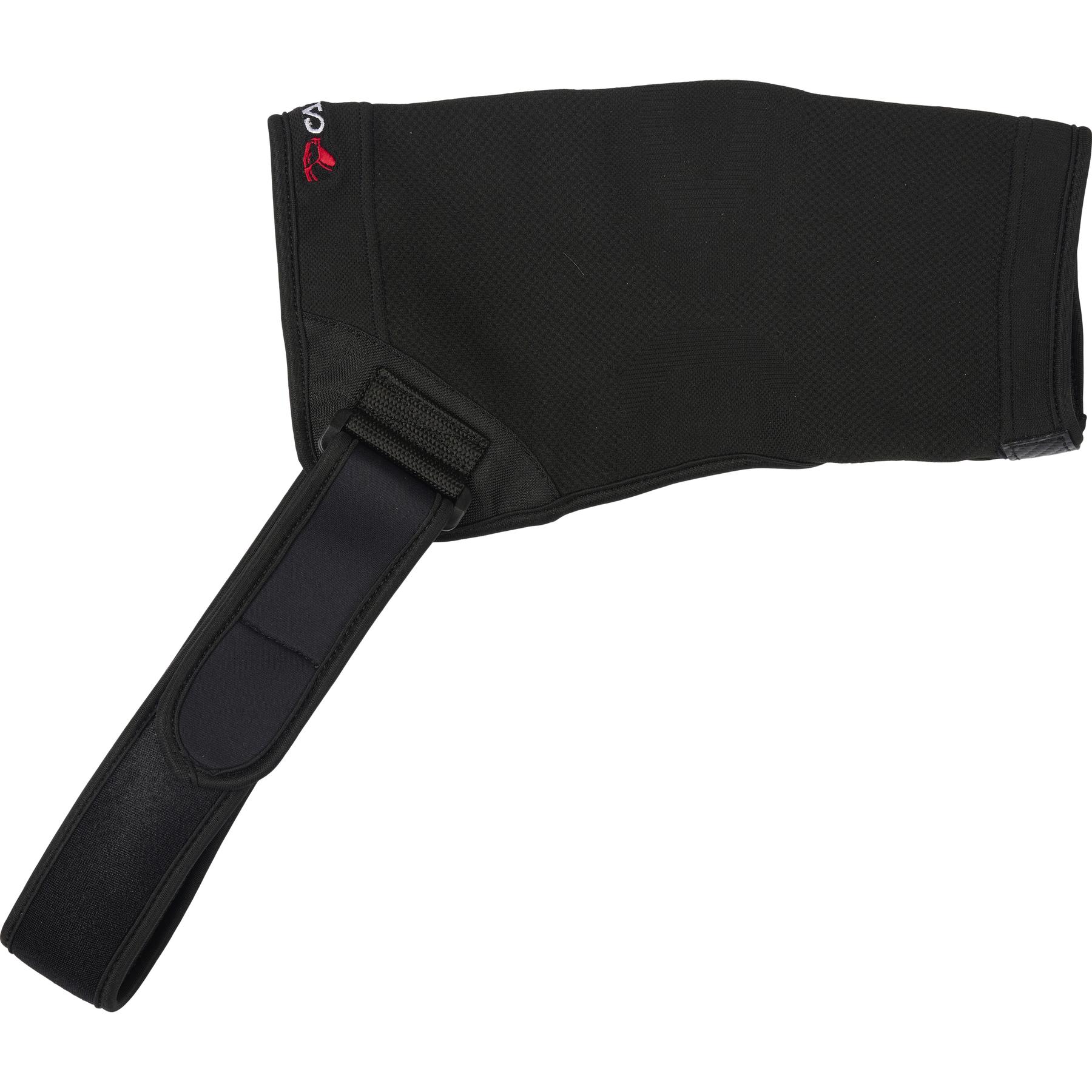 product/c/a/catago_50172001.jpg