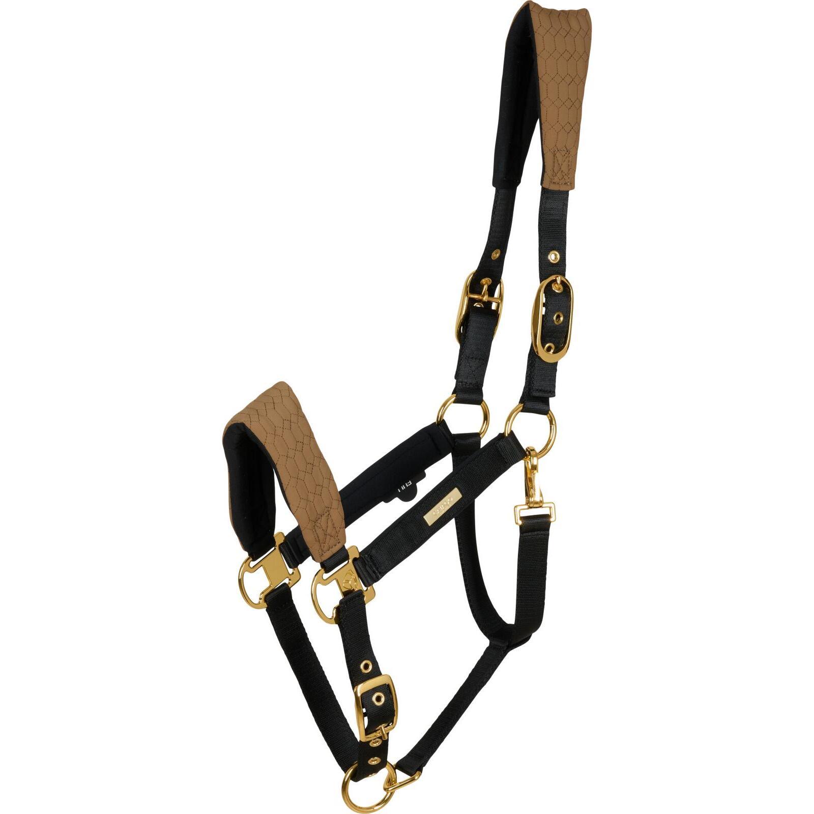product/c/a/catago_80009201809_kangaroo_1.jpg