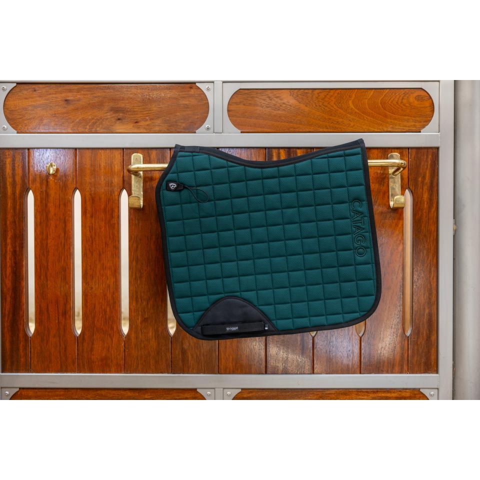 product/c/a/catago_80046060117_ponderosa-pine_1.jpg