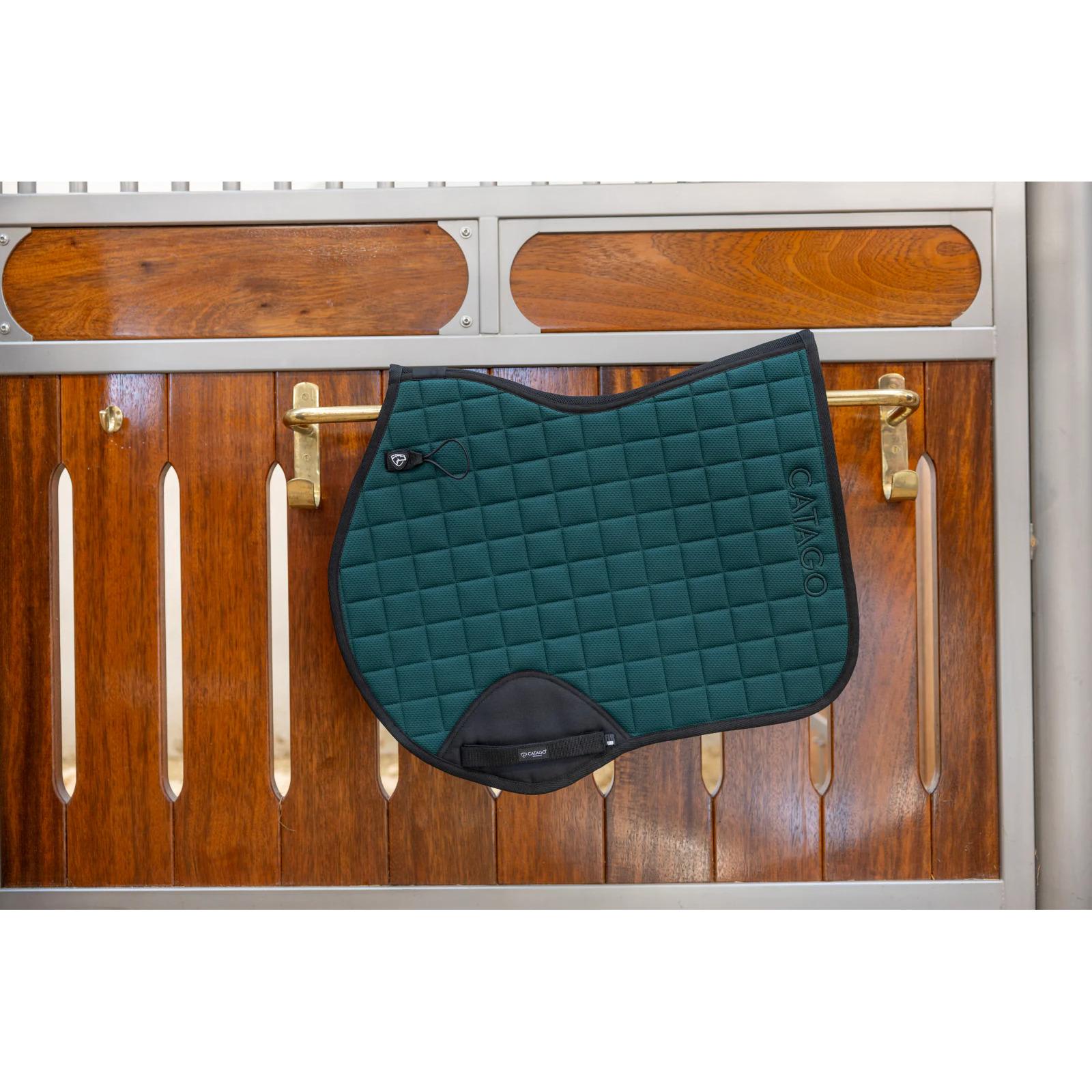 product/c/a/catago_80046260117_ponderosa-pine_2.jpg