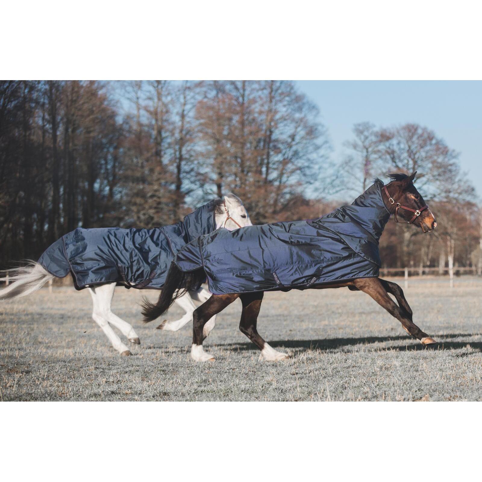 product/c/a/catago_85102599_navy_5.jpg