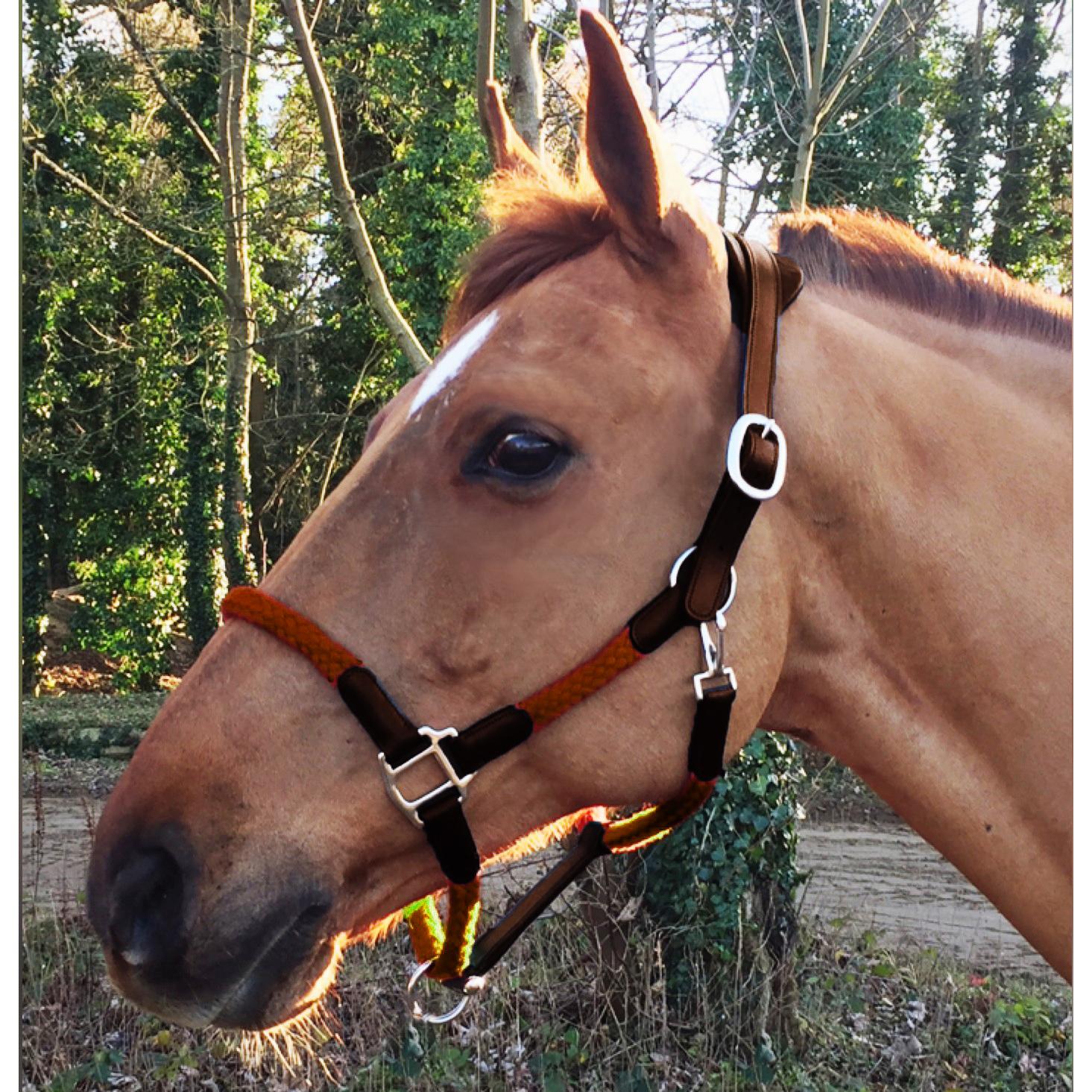 product/c/a/cavaletti_cal03oo.jpg