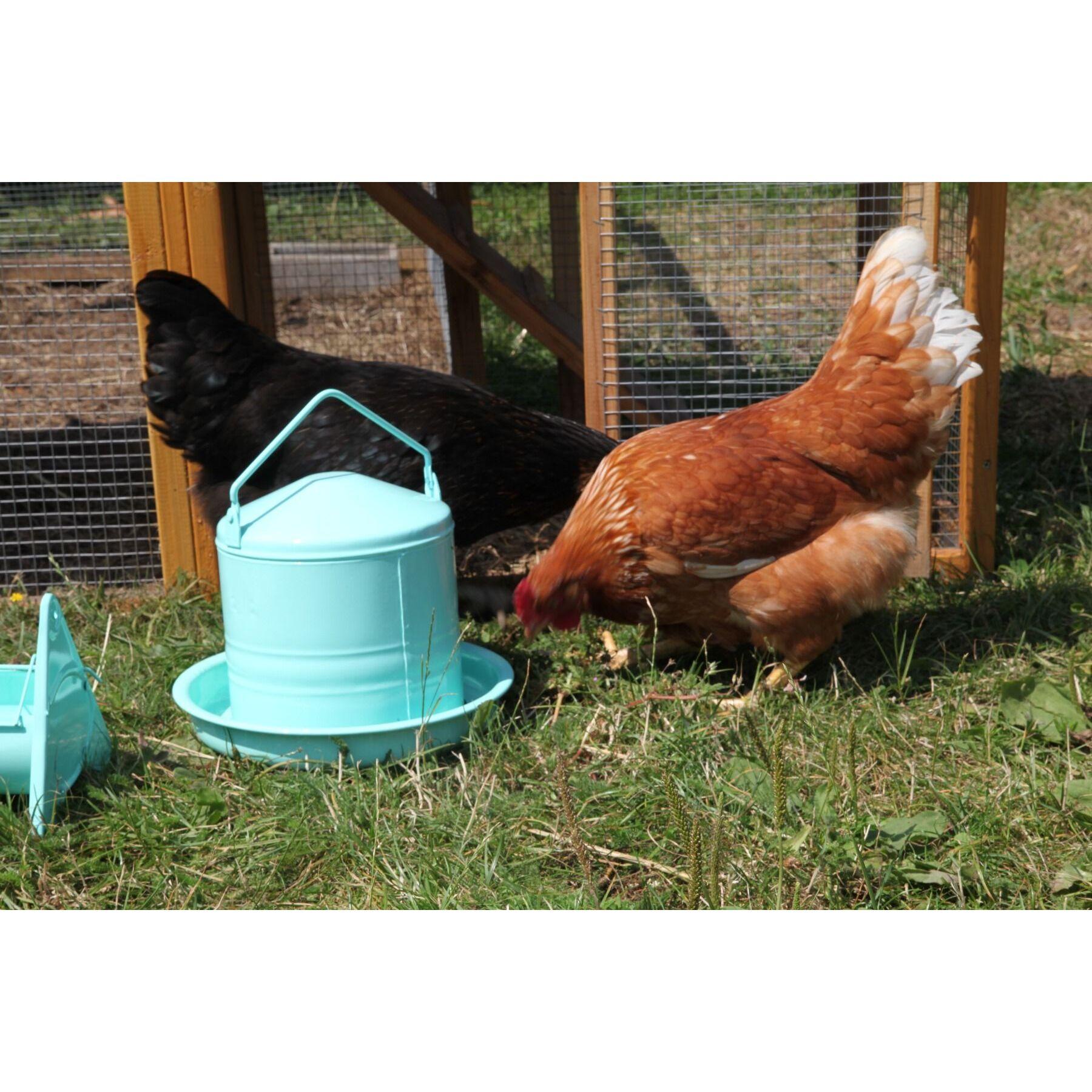 product/c/h/chick-a_501003008_vert_7.jpg