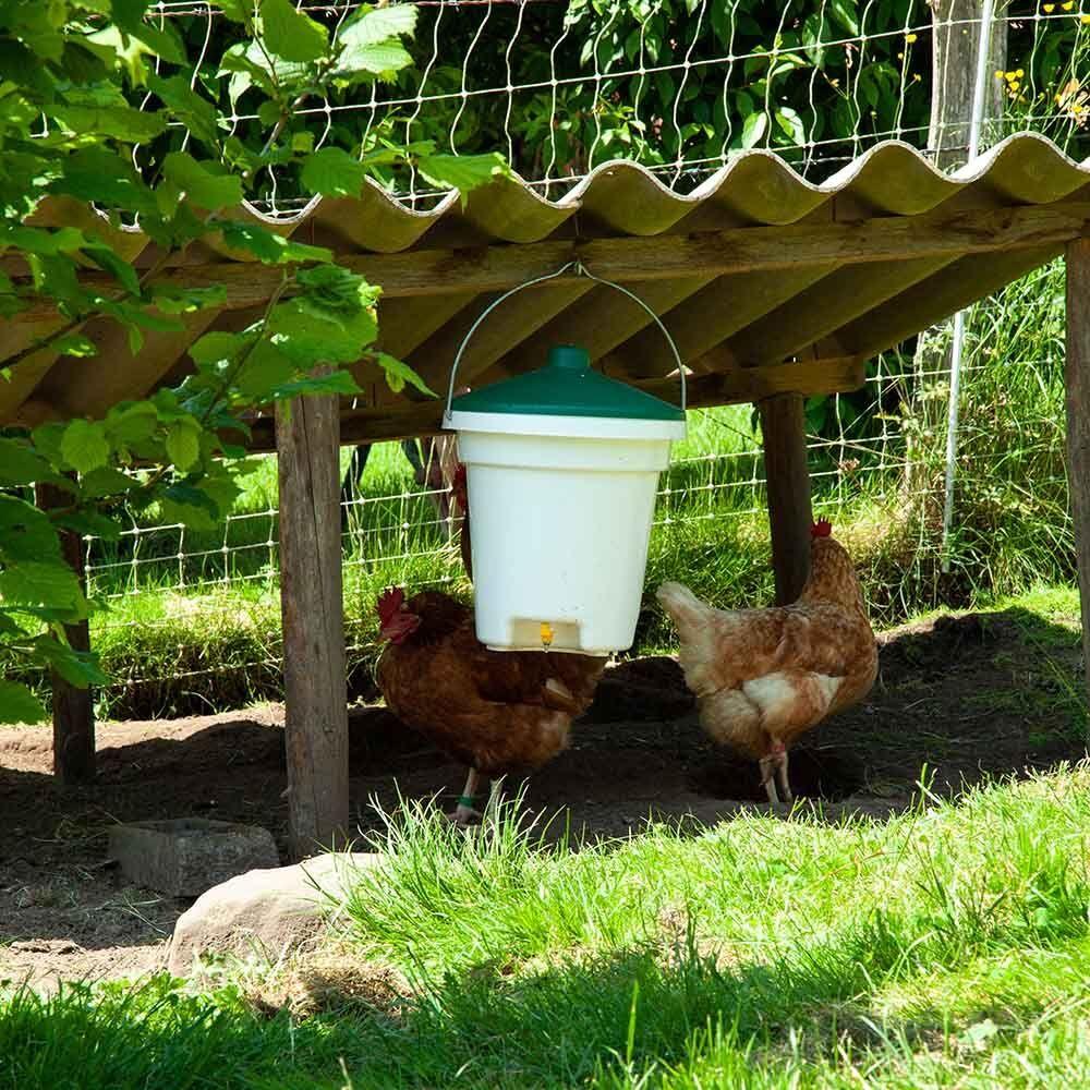 product/c/h/chick-a_509010012_blanc-vert_3.jpg