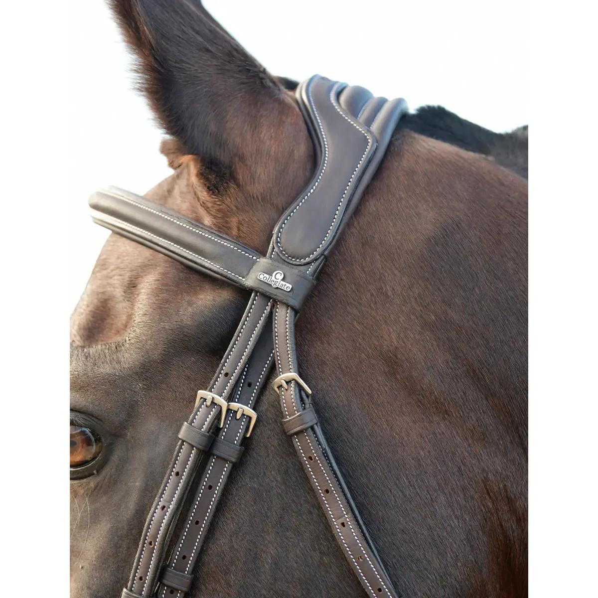 product/c/o/collegiate_1025191005_dark-brown_5.jpg