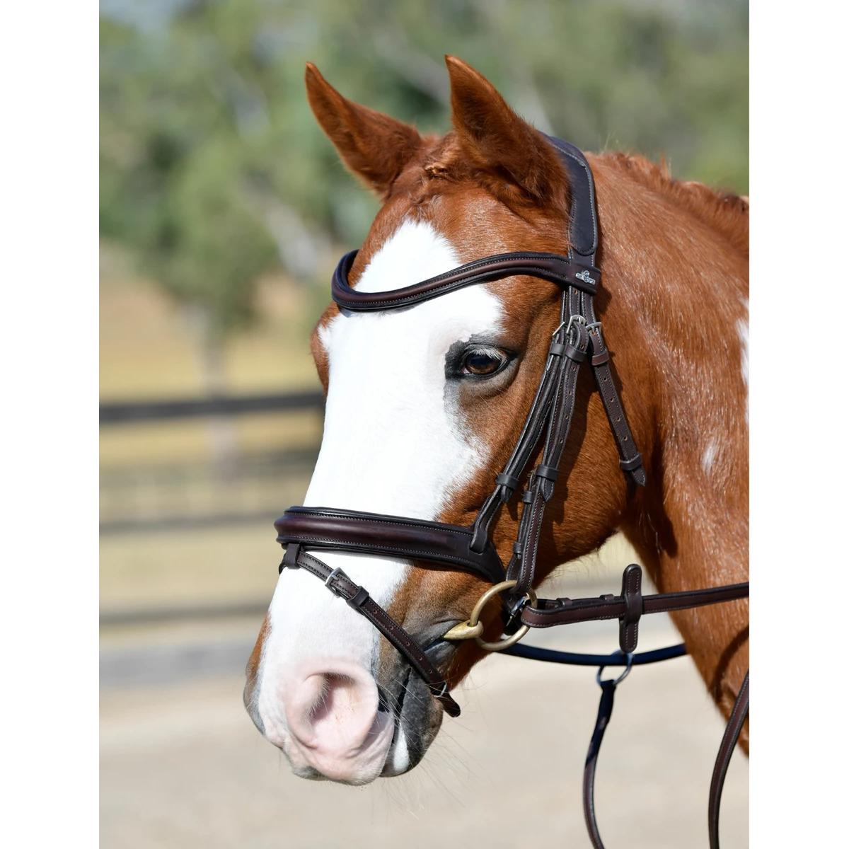 product/c/o/collegiate_1025193005_dark-brown_2.jpg