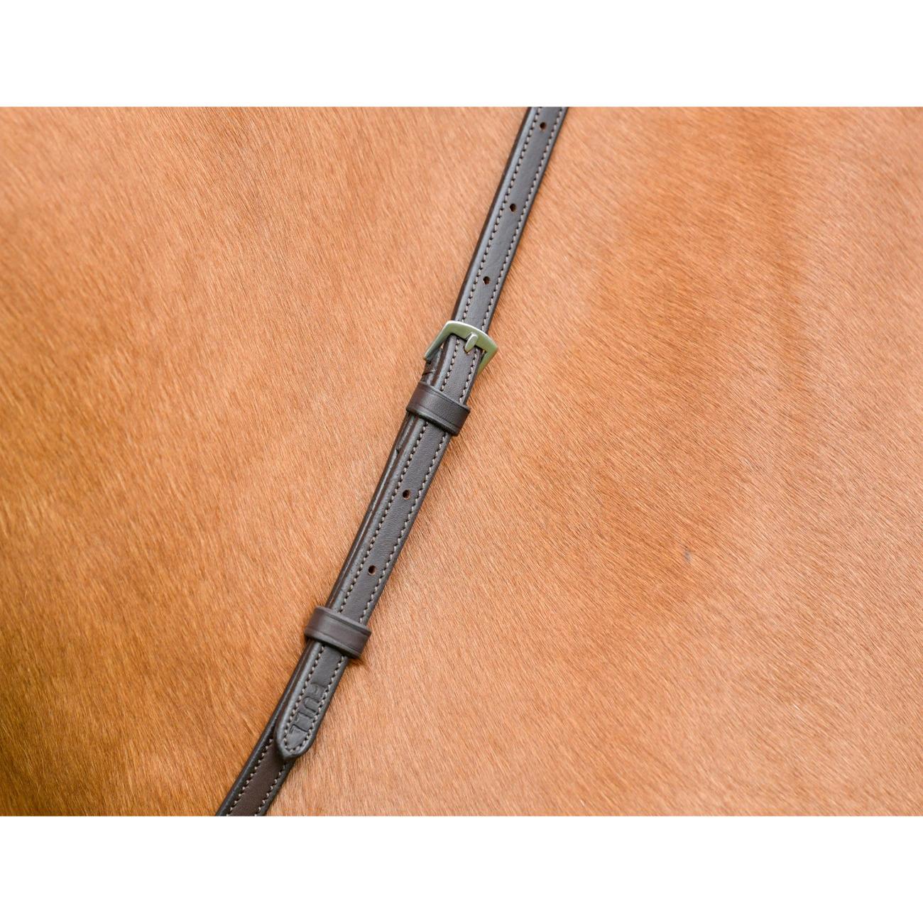 product/c/o/collegiate_1025461005_dark-brown_2.jpg