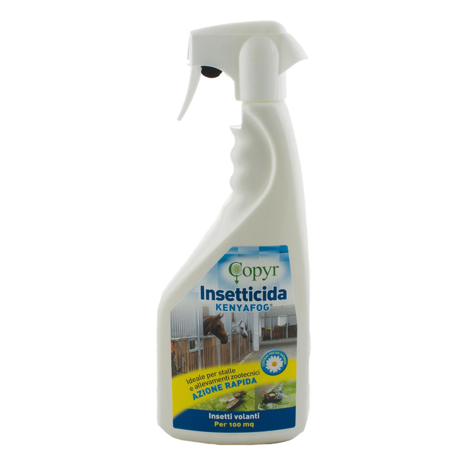 product/c/o/copyr_cc00310_blanc_1.jpg