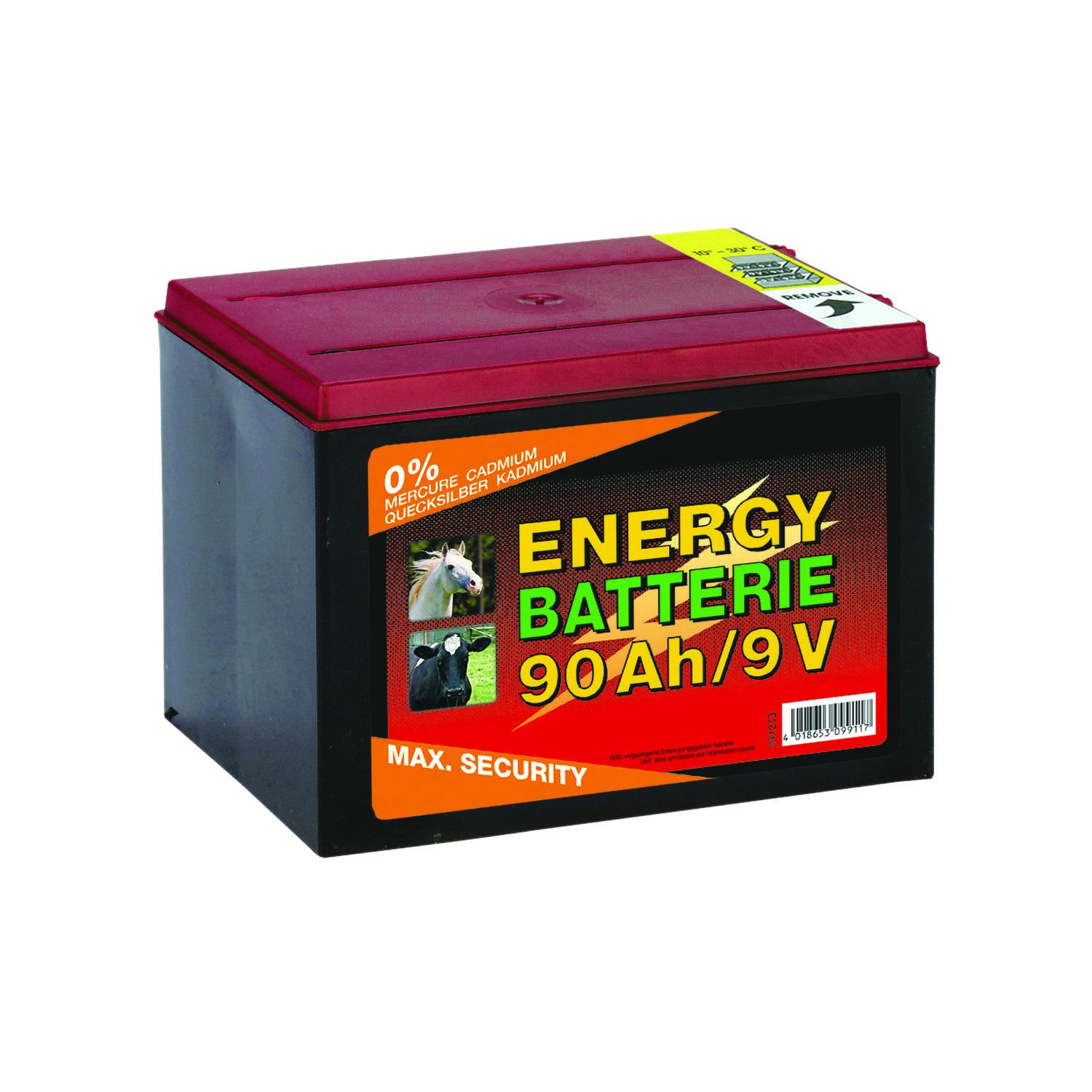 product/c/o/corral_el00030_noir_1.jpg