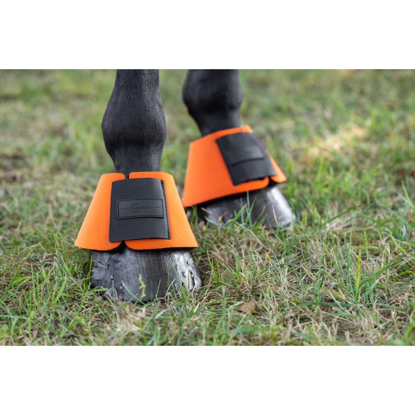 product/c/o/covalliero_3230257_orange_2.jpg