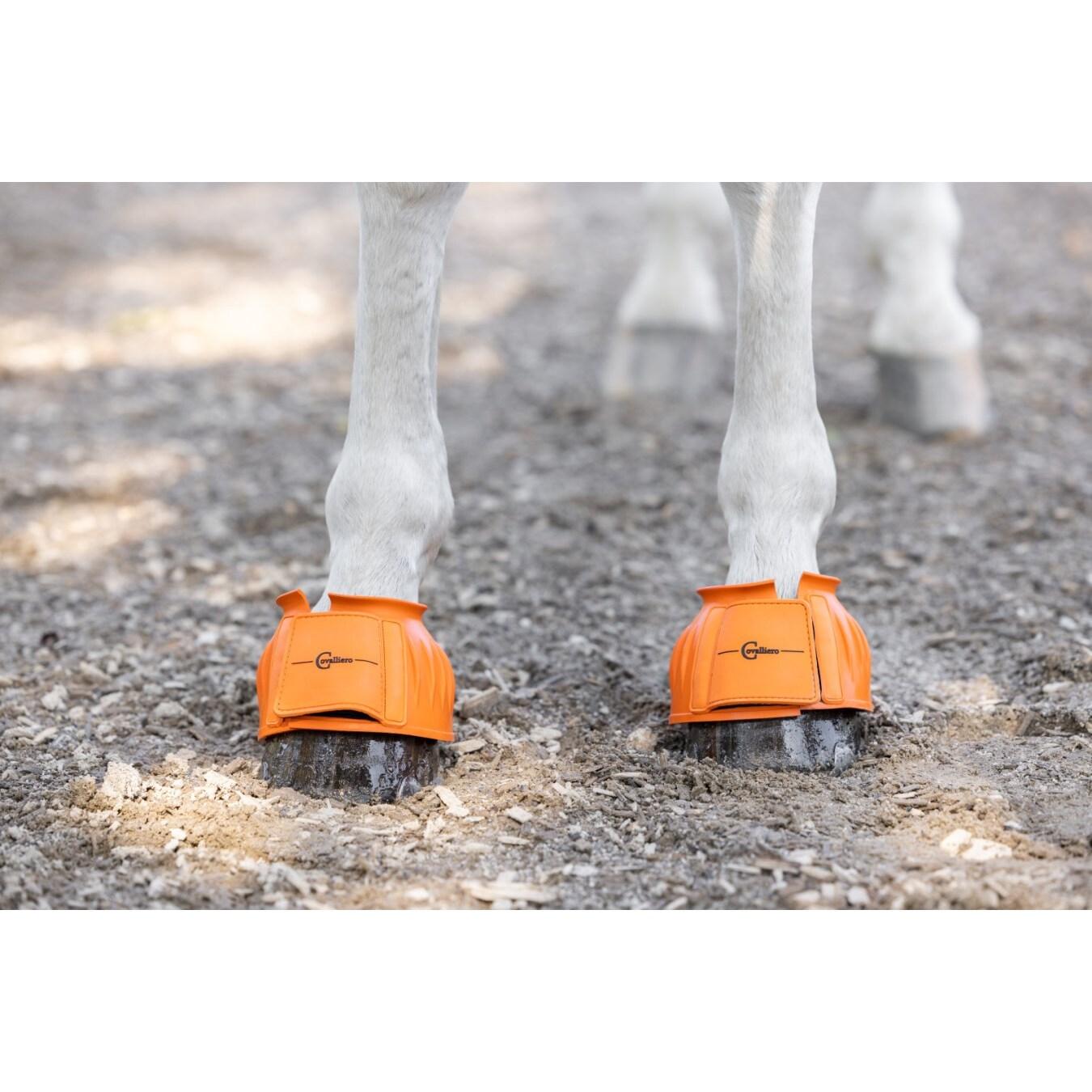 product/c/o/covalliero_3230266_orange_2.jpg