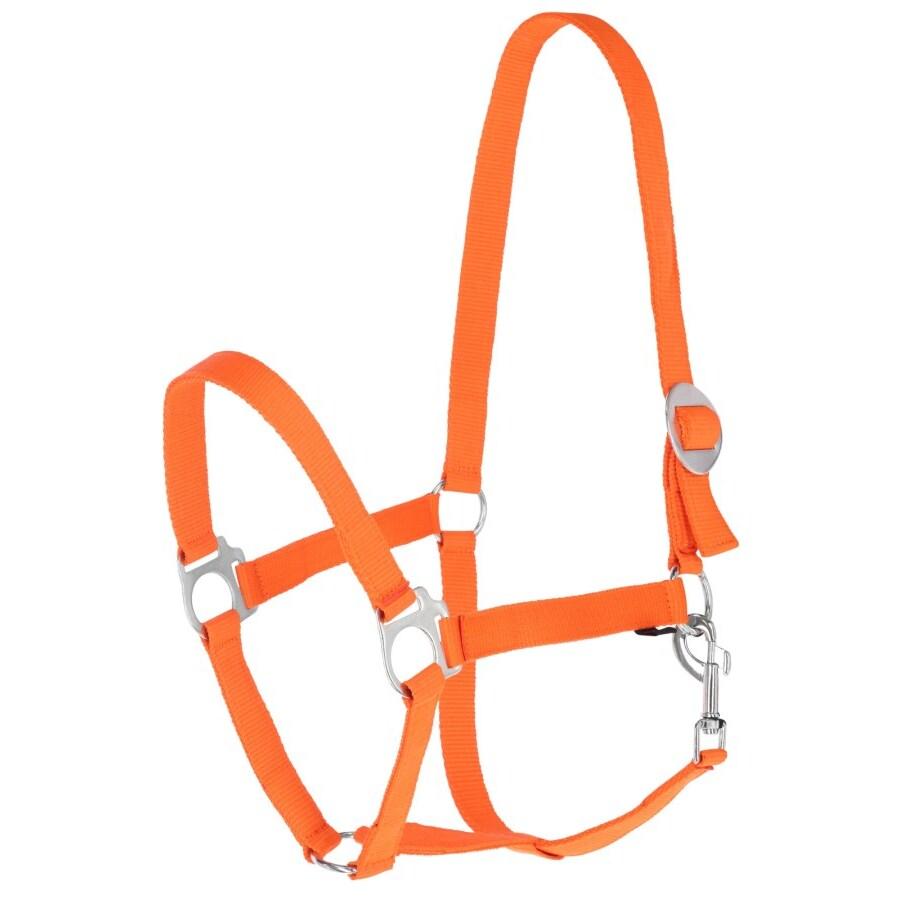 product/c/o/covalliero_3230428_orange_2.jpg