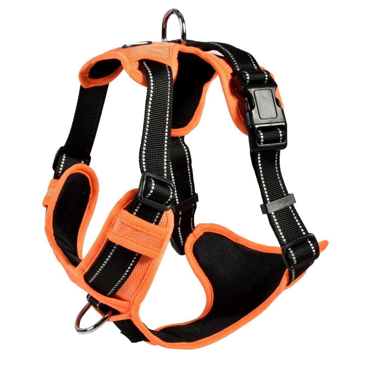 product/c/r/croci-canifrance_hrwalk_31_16_3.jpg