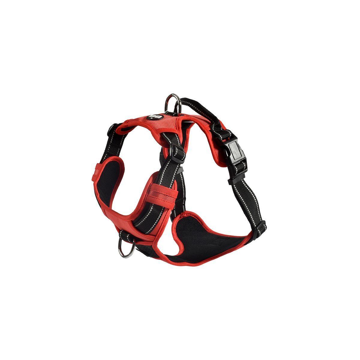 product/c/r/croci-canifrance_hrwalk_81_20_1.jpg
