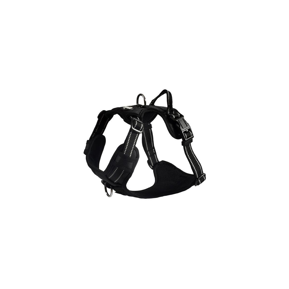 product/c/r/croci-canifrance_hrwalk_99_25_1.jpg