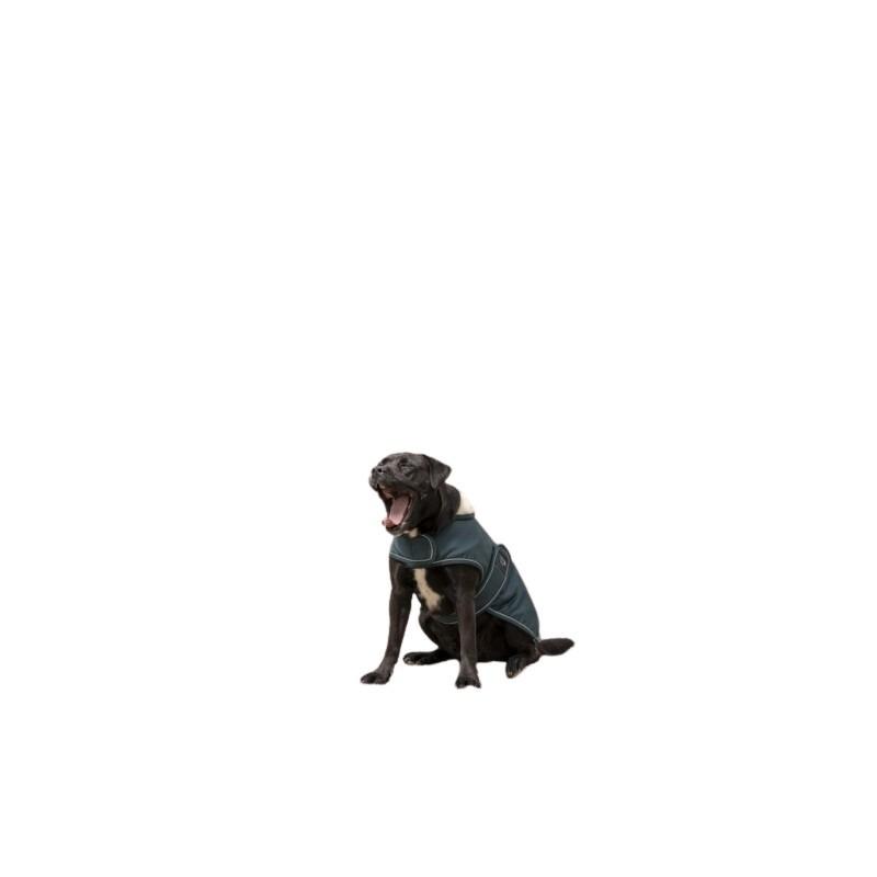 product/d/i/diego-louna_409030826_2.jpg