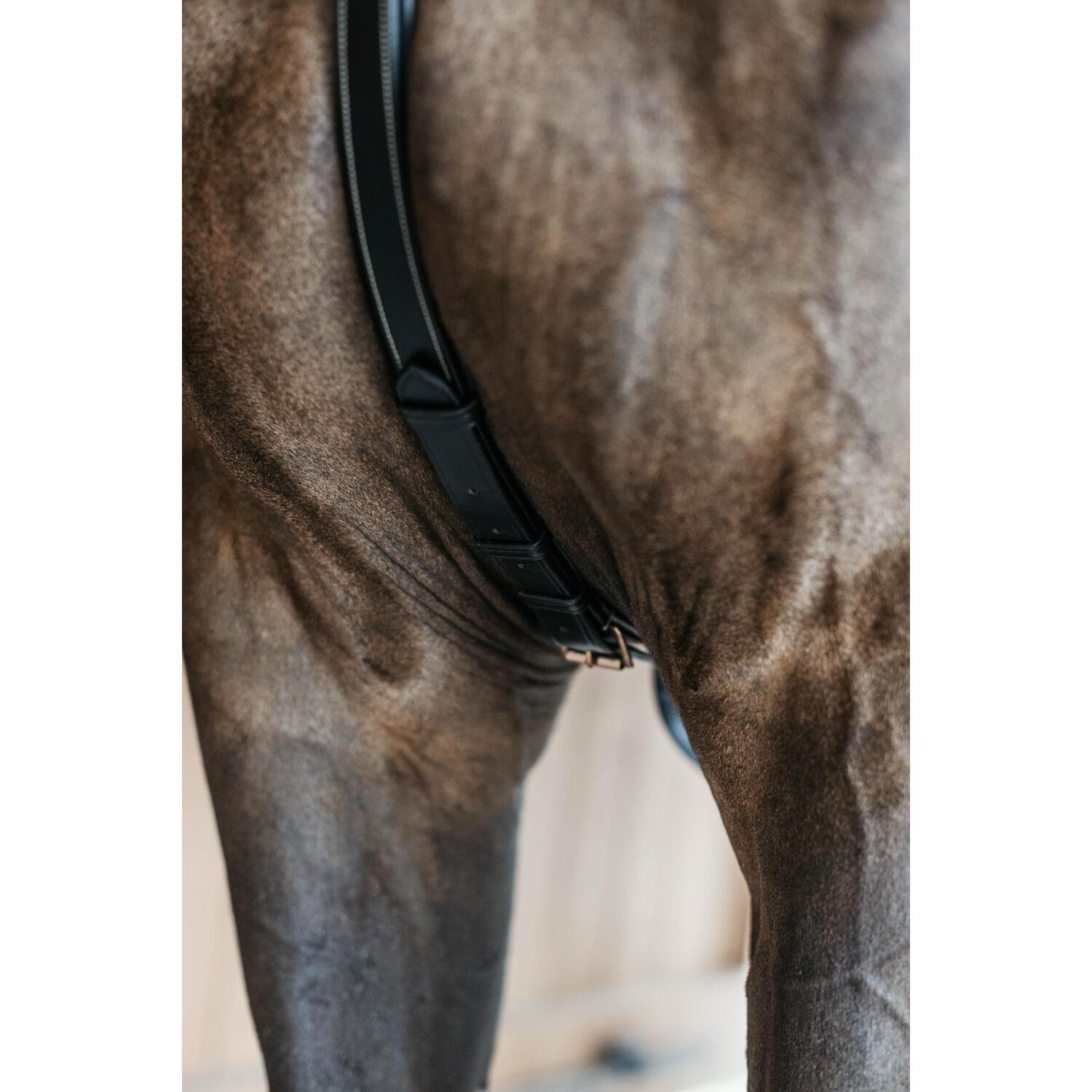product/d/y/dyon_dy06fblf_black_4.jpg