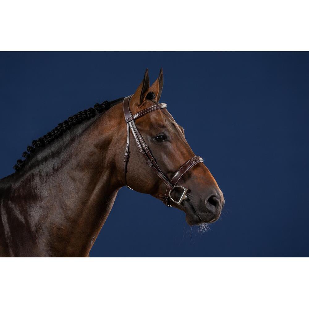 product/d/y/dyon_uskdalbrf_brown_2.jpg