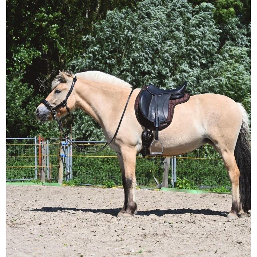 product/e/d/edix-saddles_1.0906.6505004_brown_1.jpg