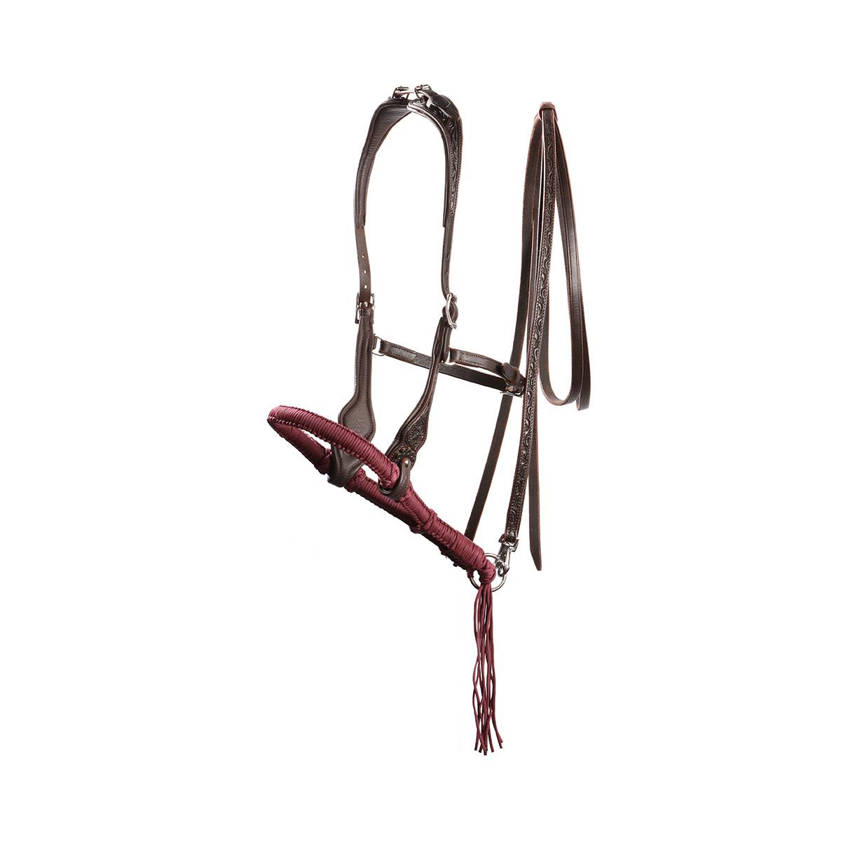 product/e/d/edix-saddles_8.9030.2105015.jpg