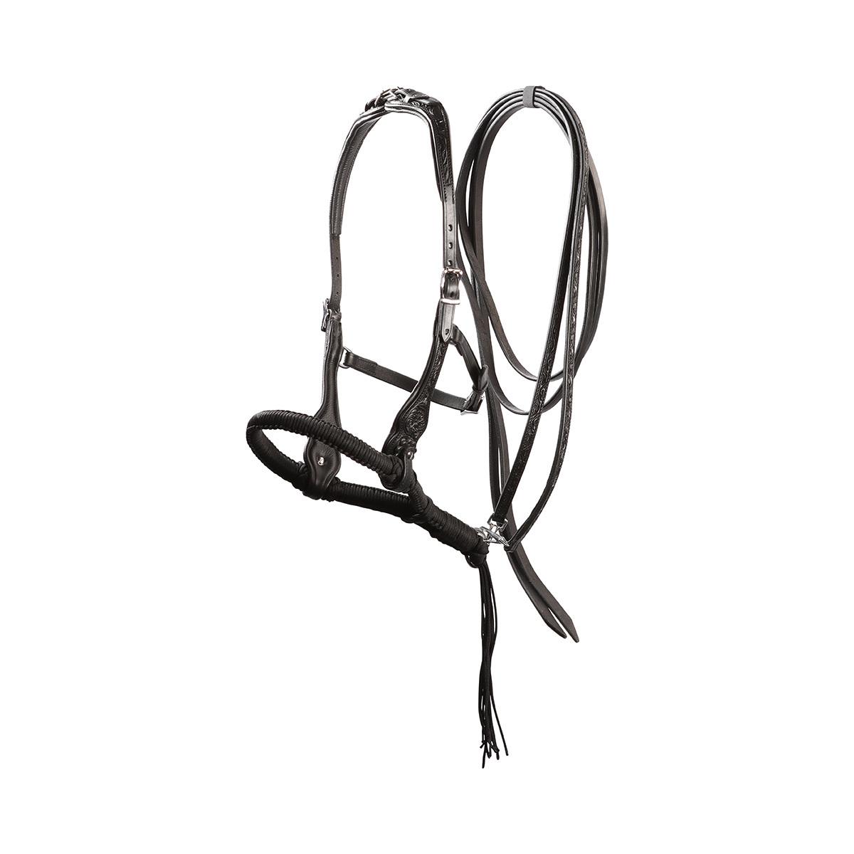 product/e/d/edix-saddles_8.9030.2170015.jpg