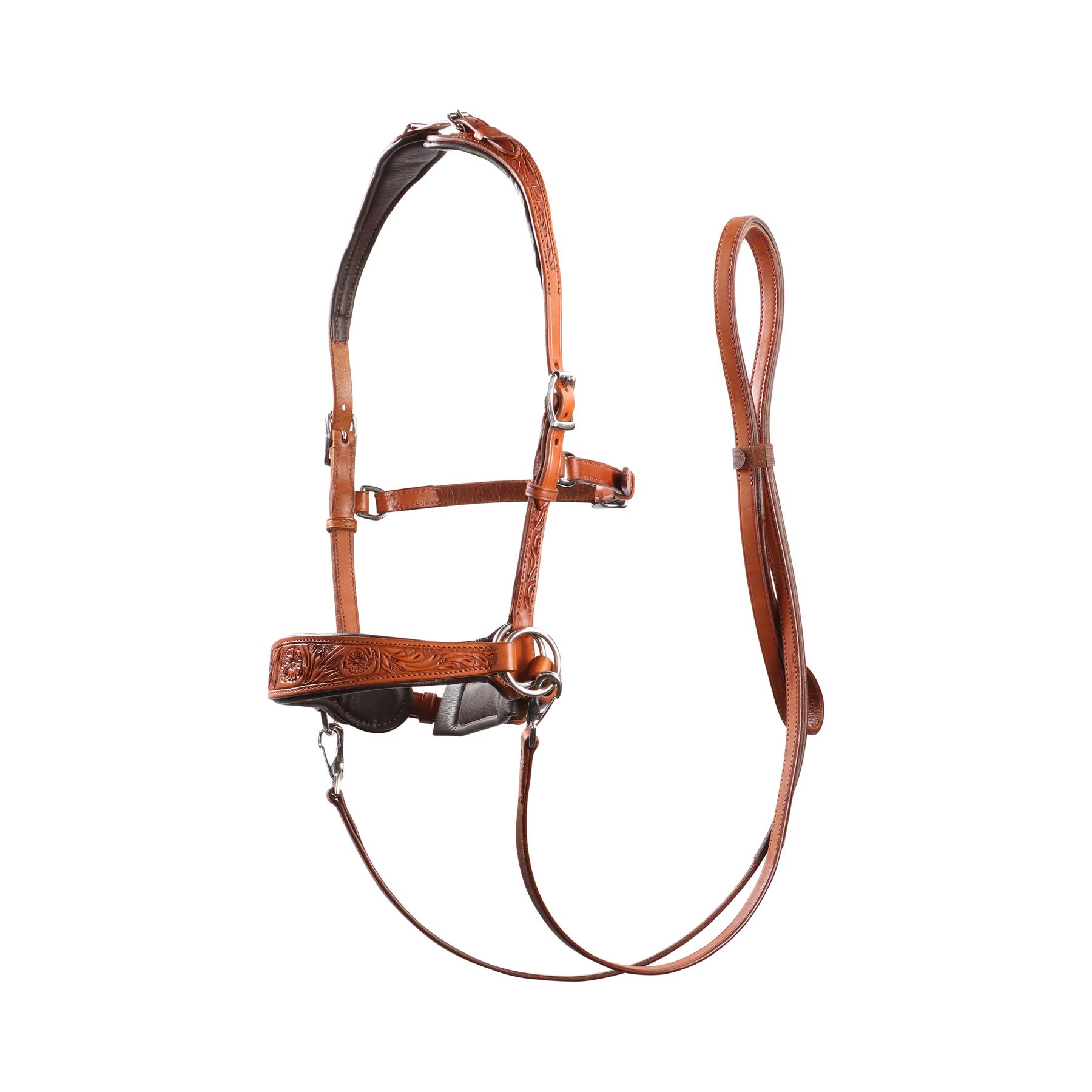product/e/d/edix-saddles_8.9203.2142015.jpg