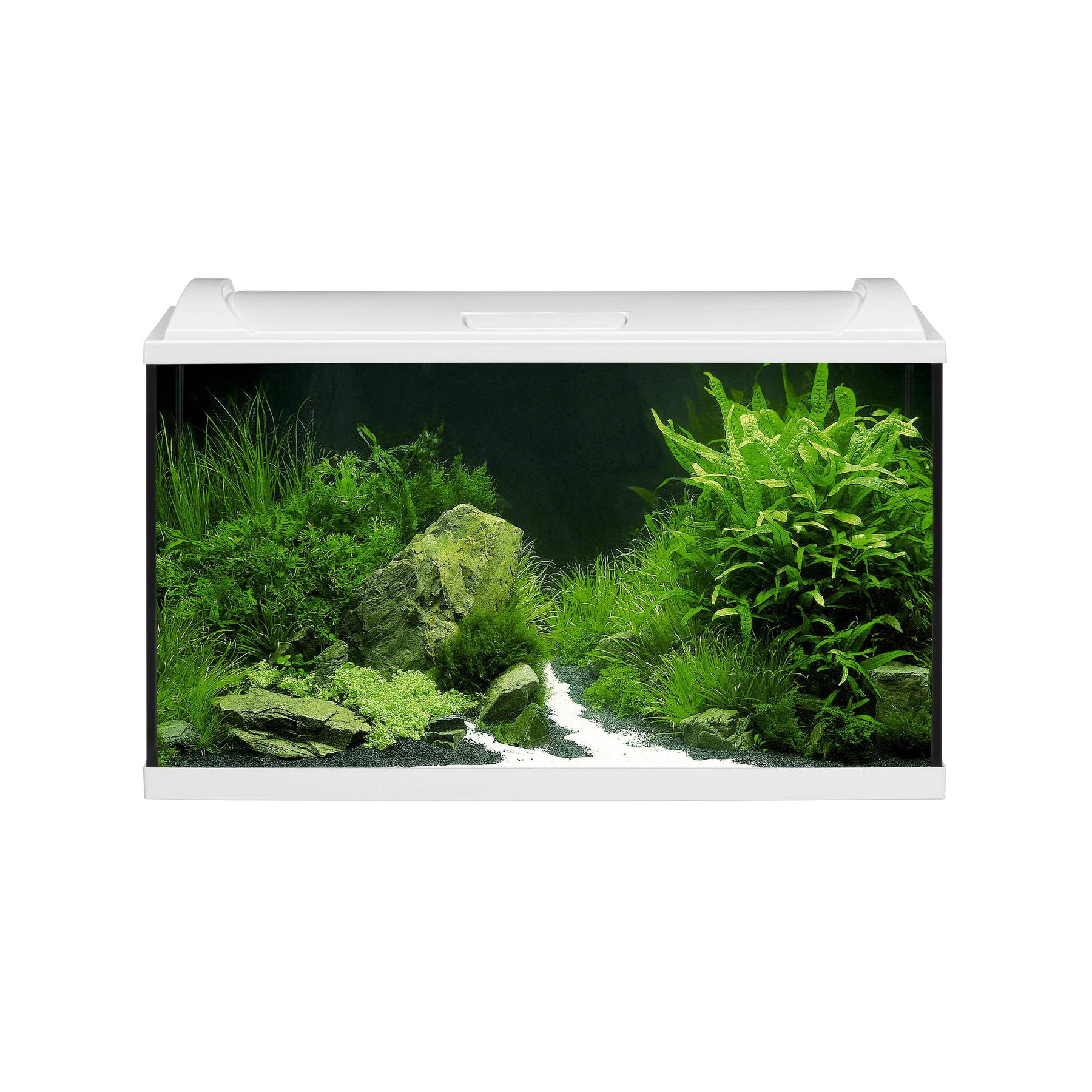 product/e/h/eheim_eh0340899_blanc_1.jpg